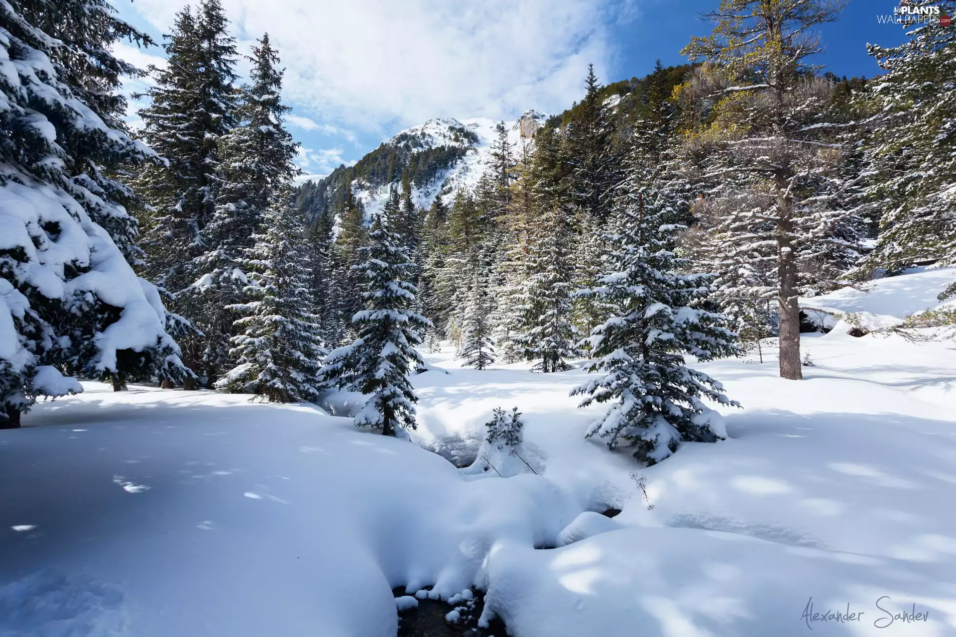 viewes, winter, Mountains, stream, forest, trees