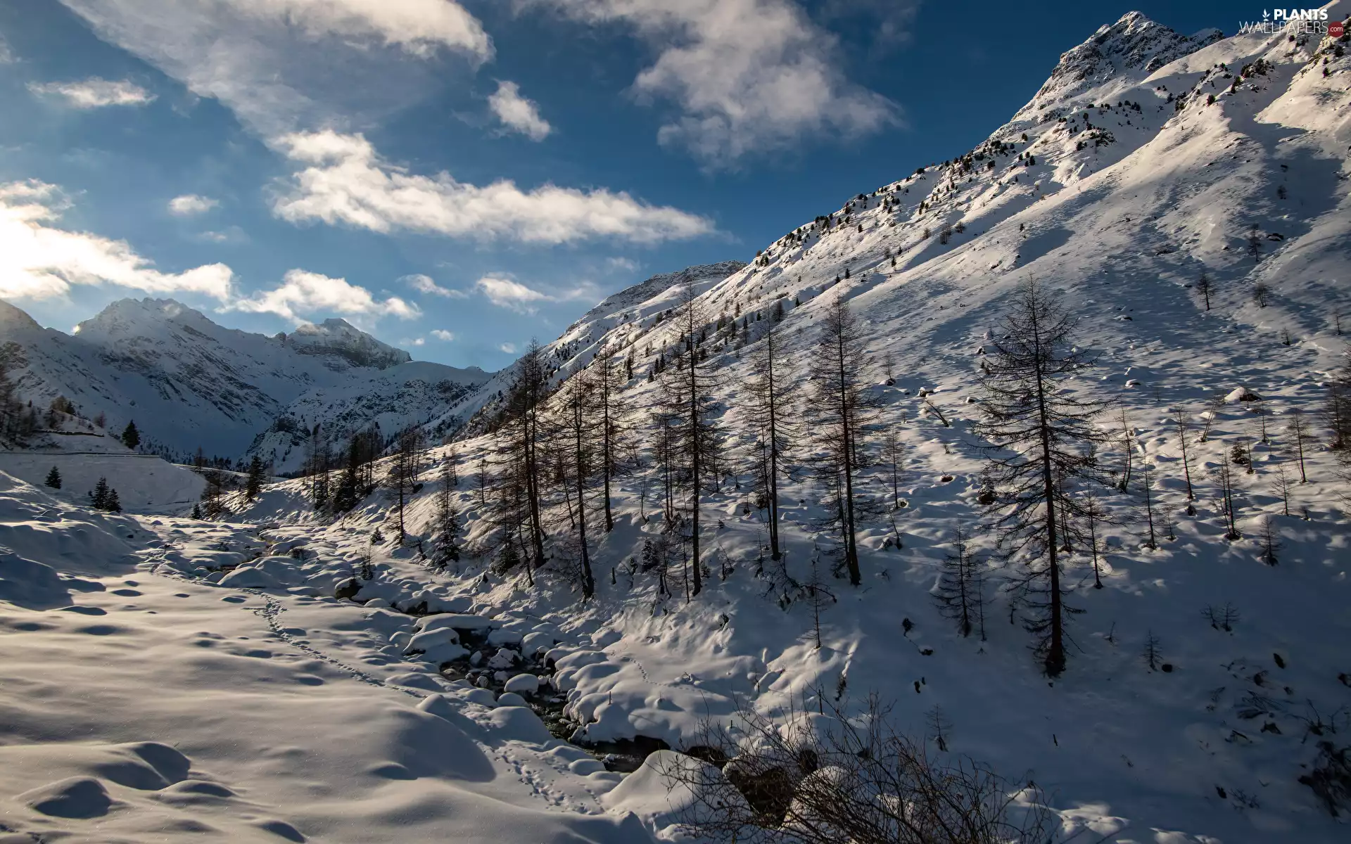 snow, traces, trees, stream, winter, Mountains, viewes