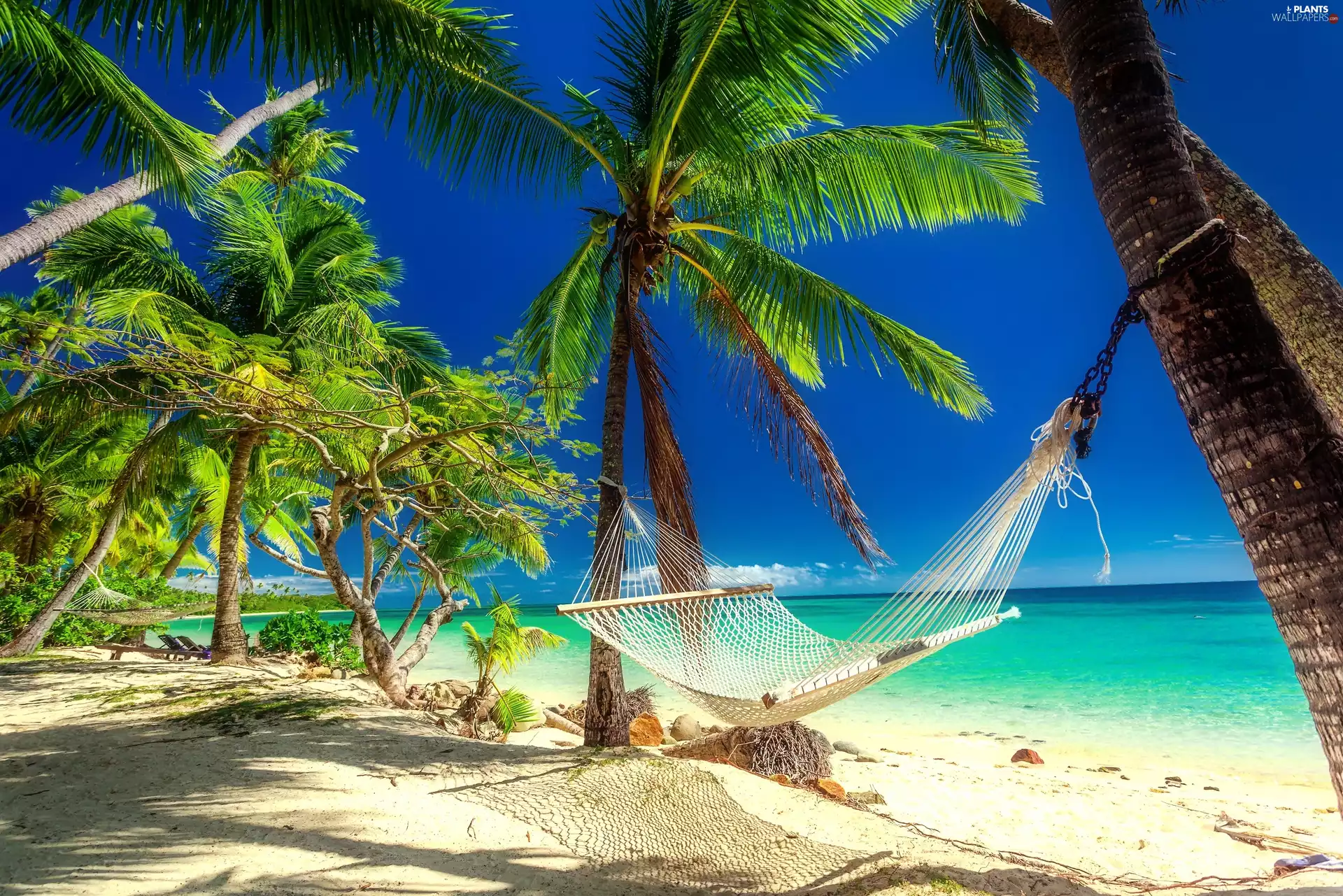 Palms, tropical, sea, summer, Hammock, Beaches