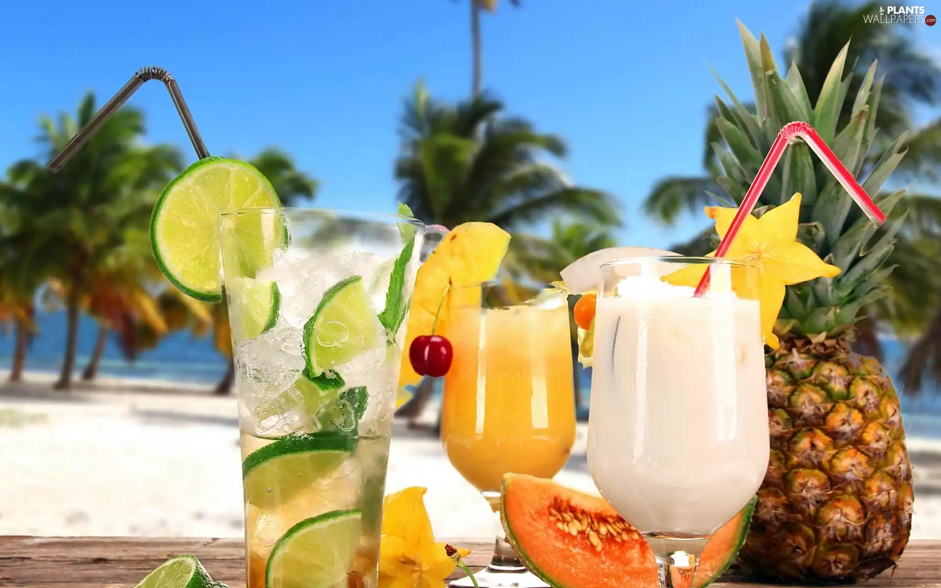 Palms, summer, drinks, Beaches, tropics