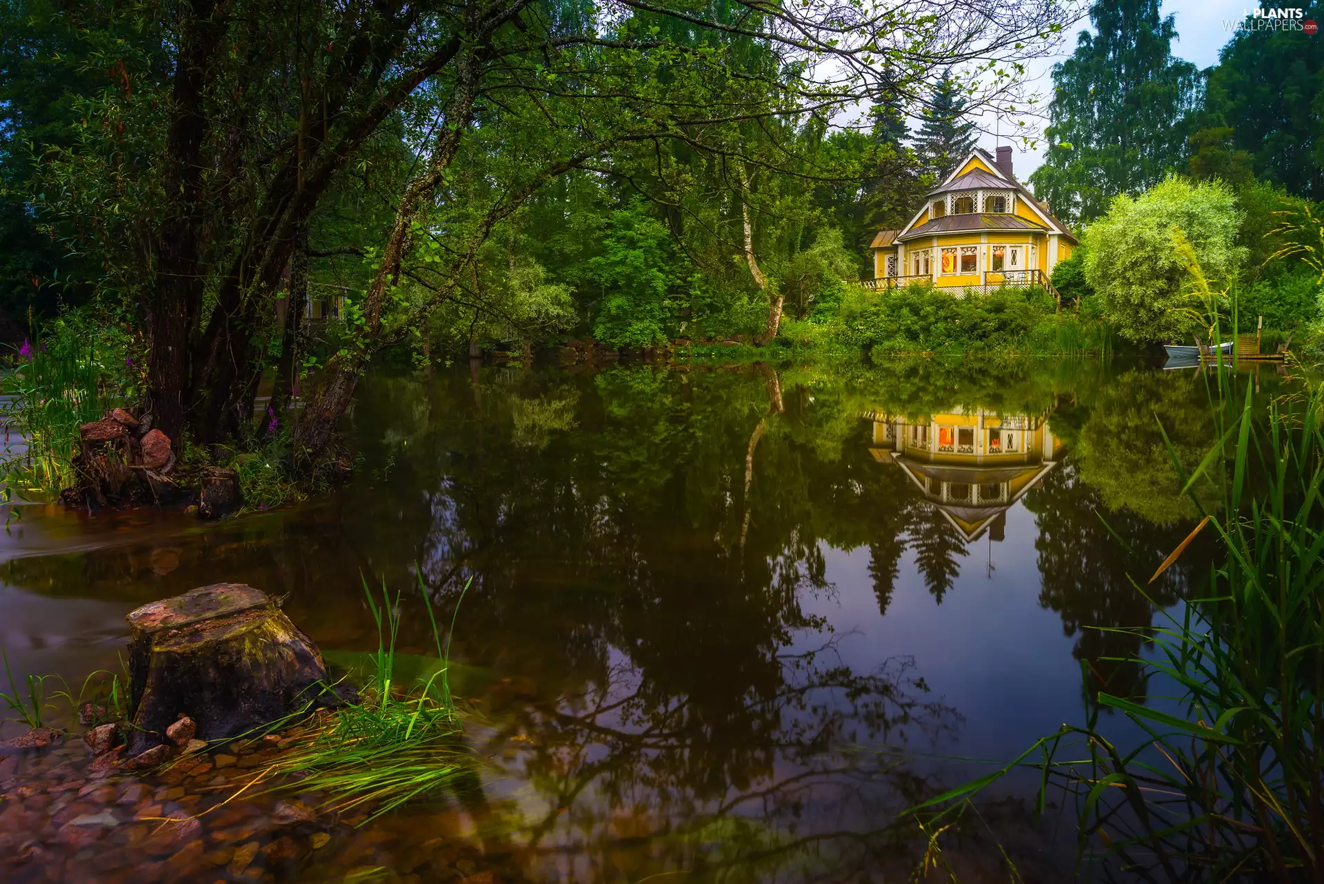 River, Yellow, viewes, summer, trees, house