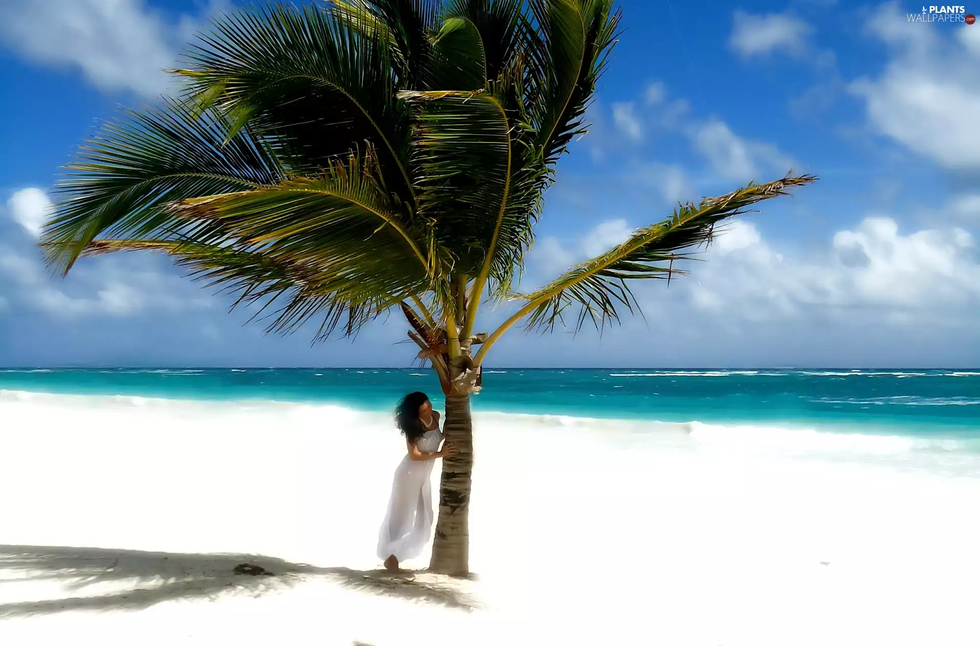 Beaches, summer, Palm, sea, Women