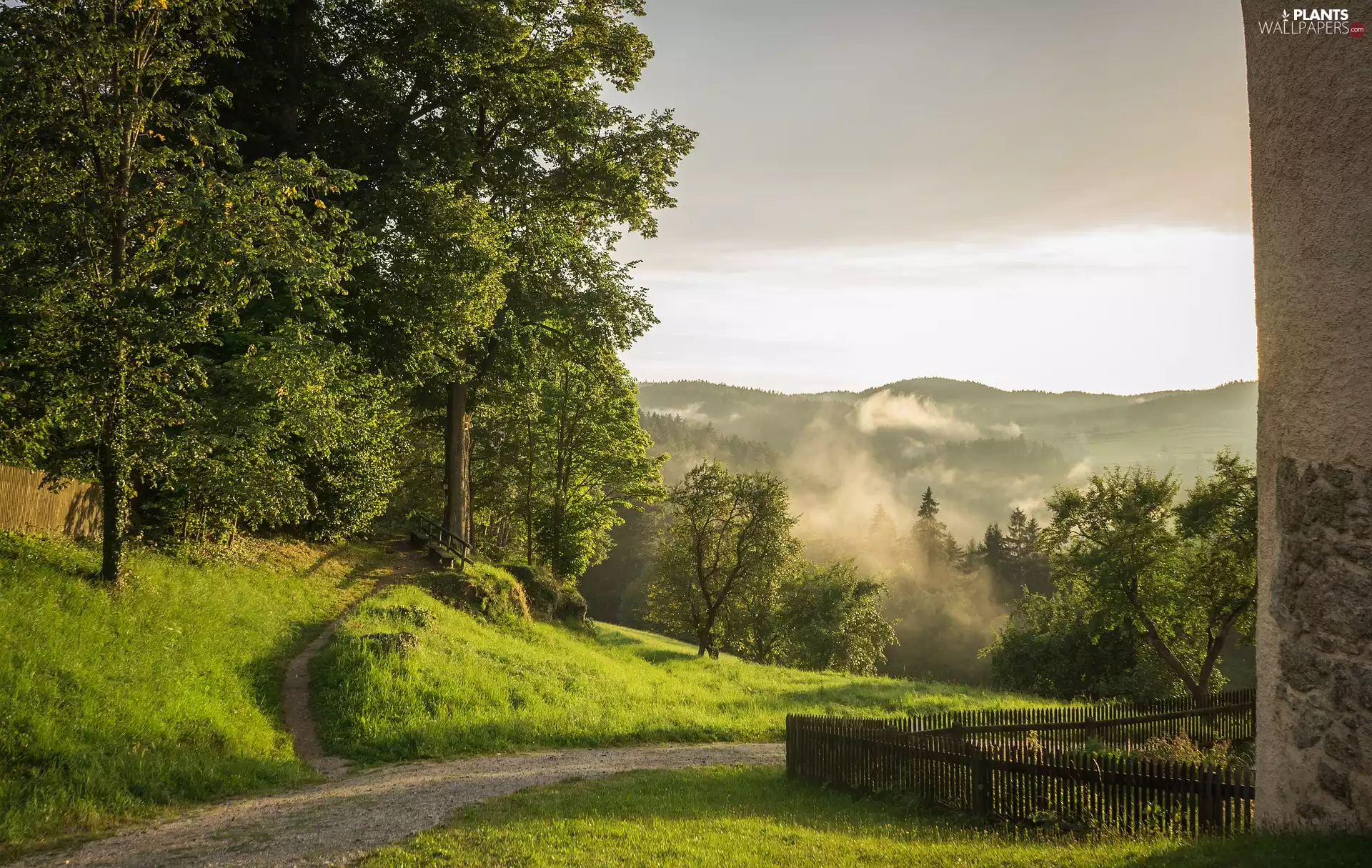 Fance, summer, trees, viewes, Way
