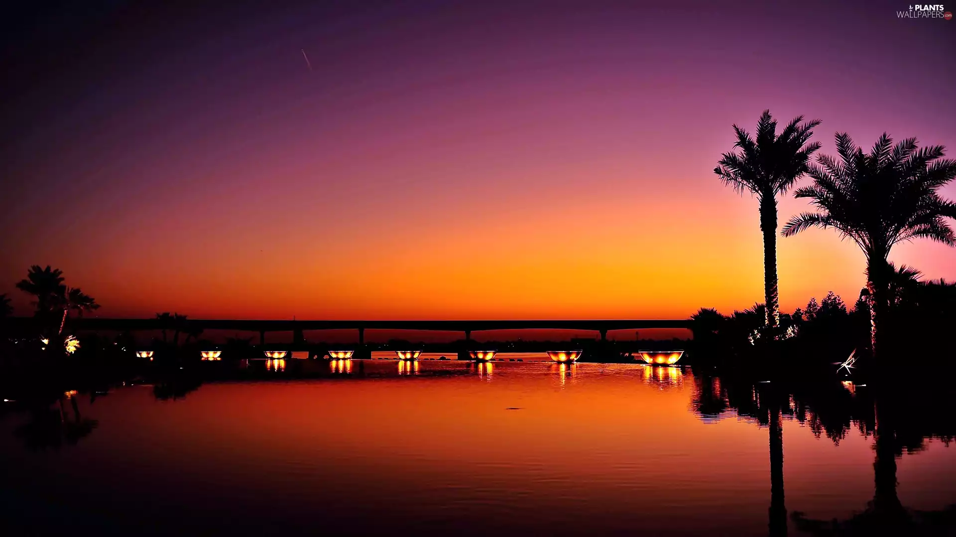 west, sun, bridge, Palms, sea