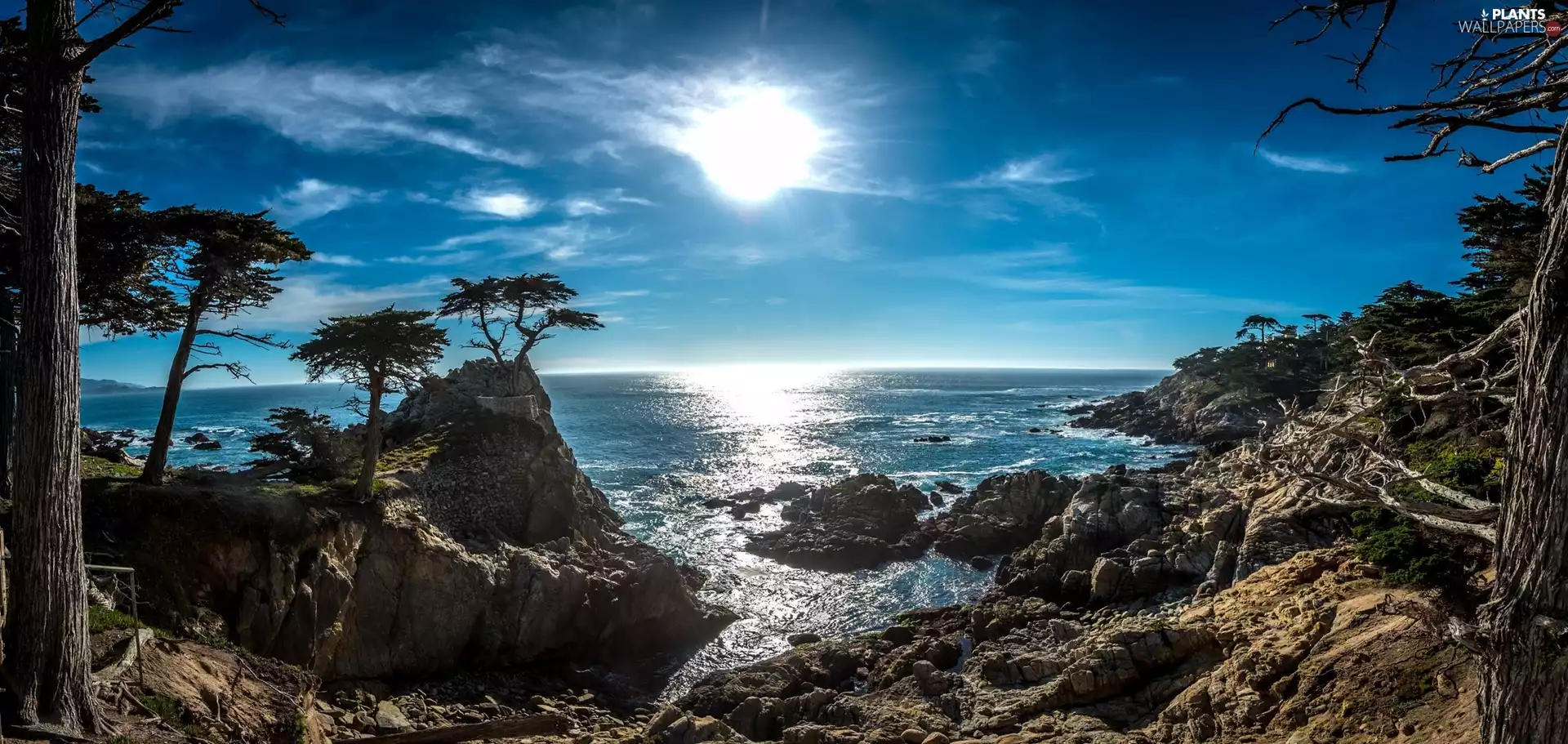 Lone Cypress, State of California, Pebble Beach, viewes, sea, The United States, Coast, rays of the Sun, trees, rocks