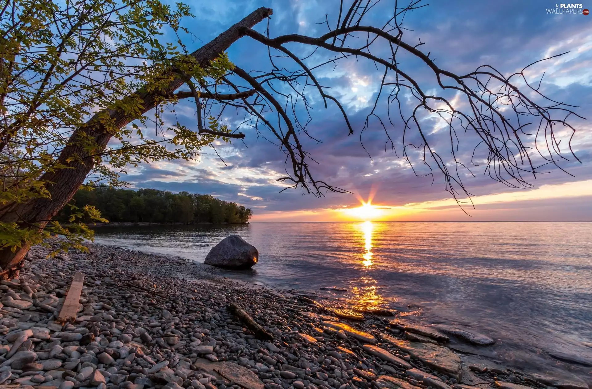 Stones, sea, west, sun, trees, coast