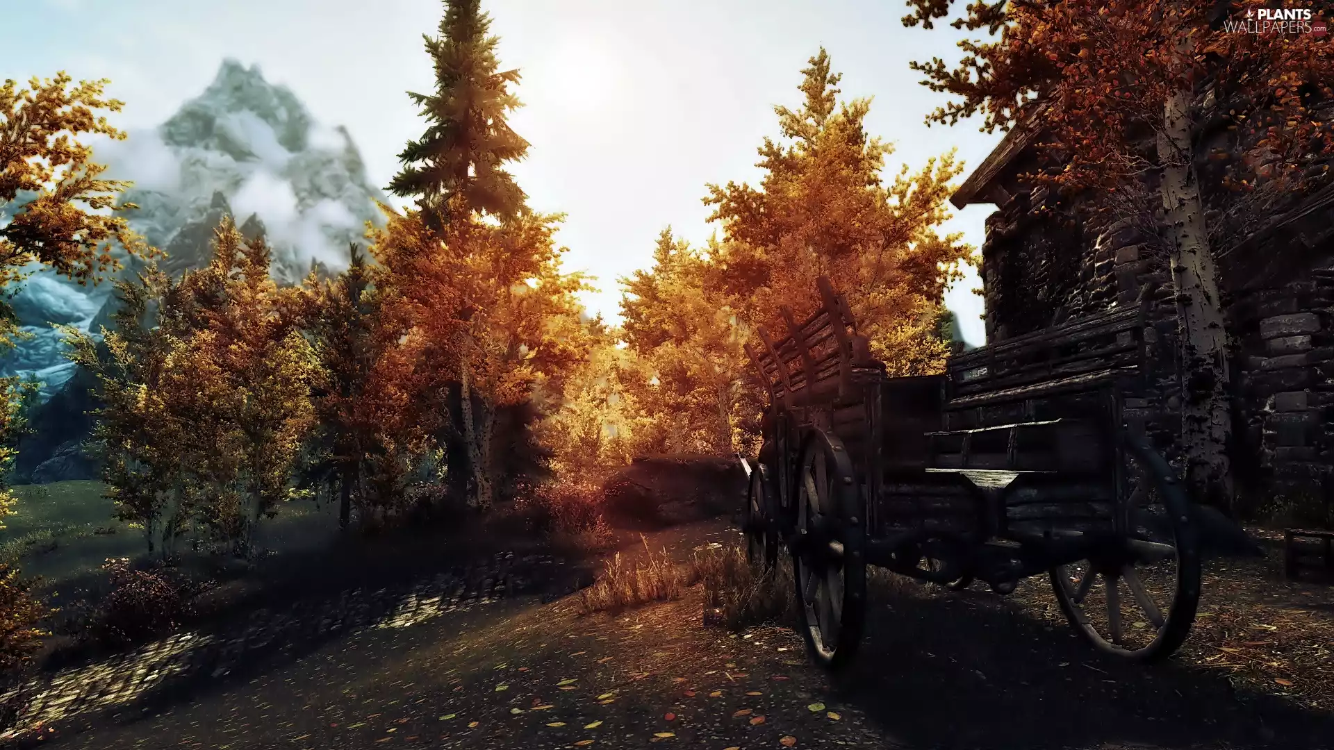 sun, viewes, house, luminosity, wagon, trees, autumn, shadow, flash, ligh