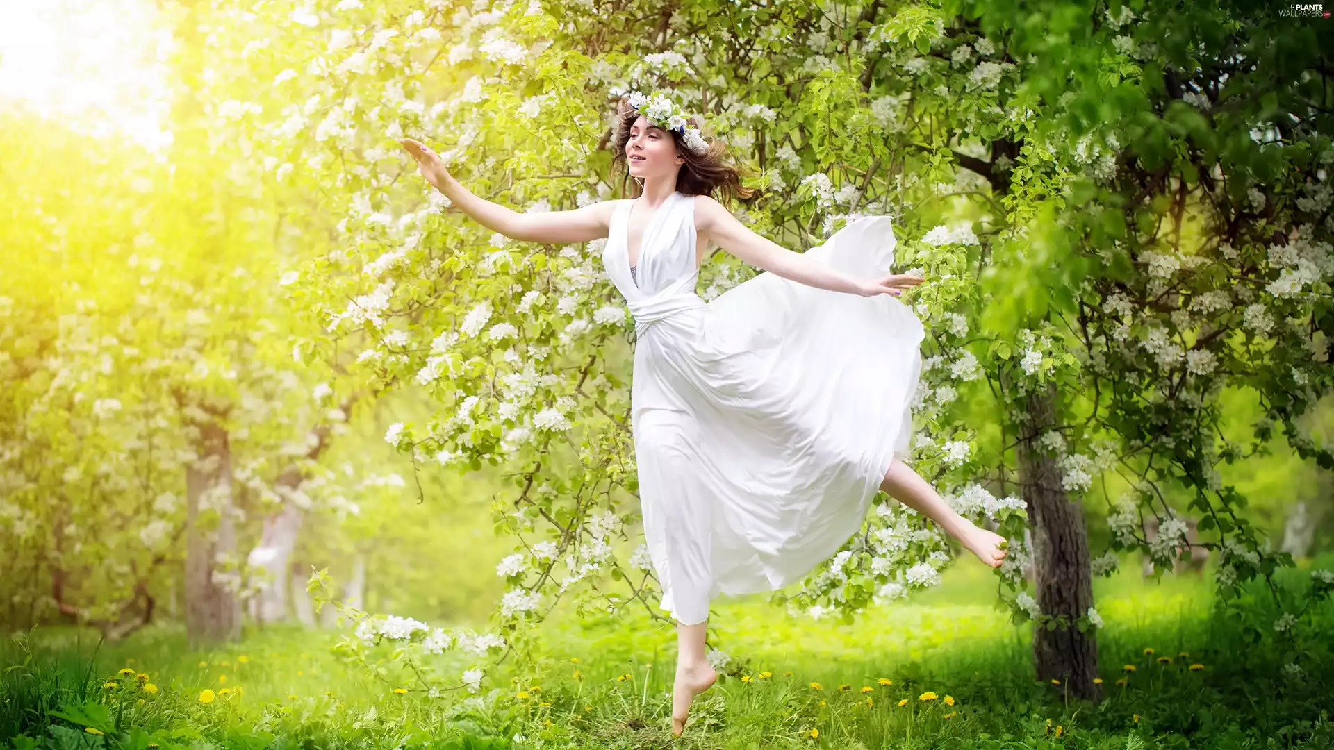trees, Women, rays, sun, viewes, flourishing