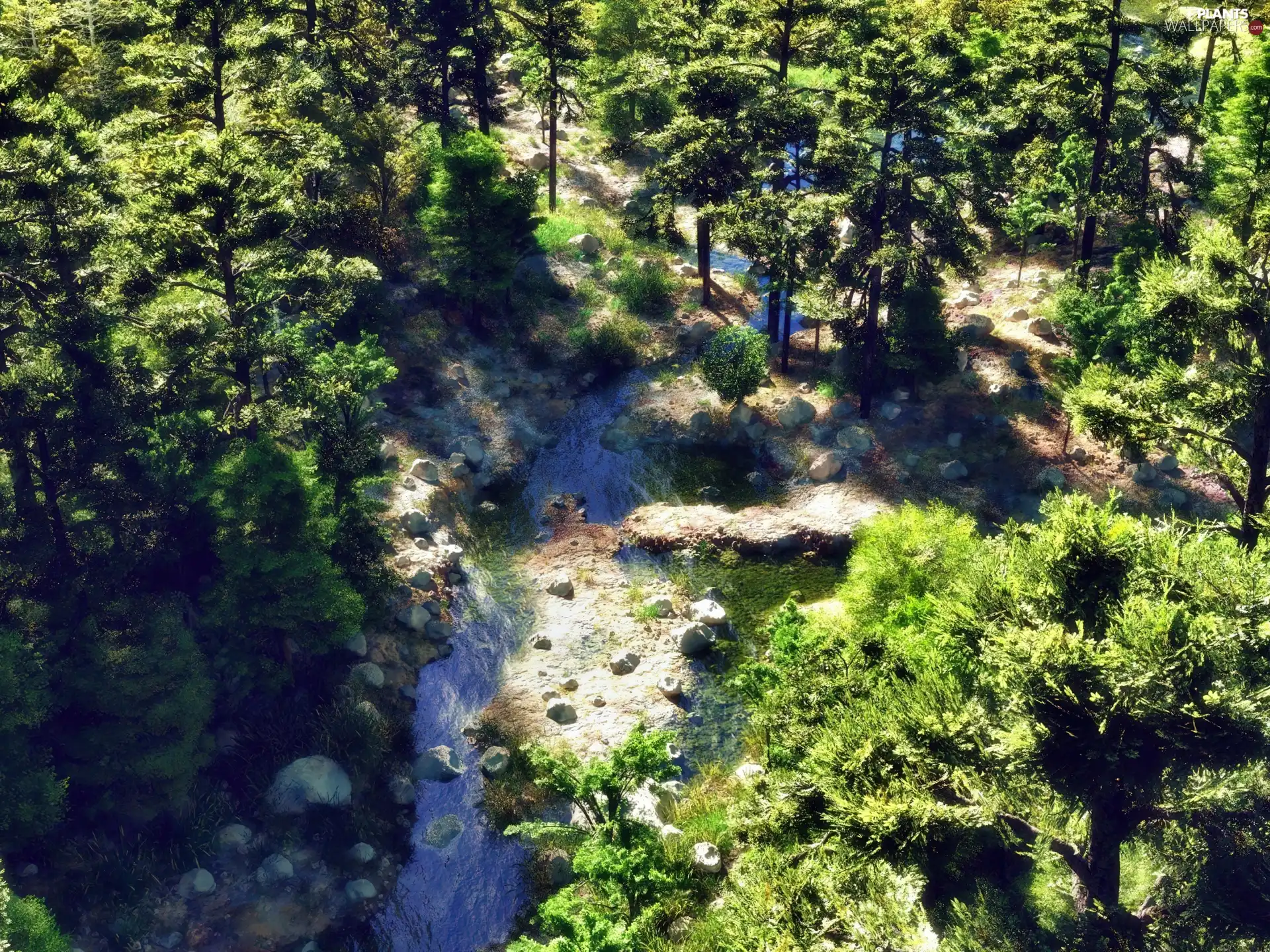 forest, glamour, sun, brook