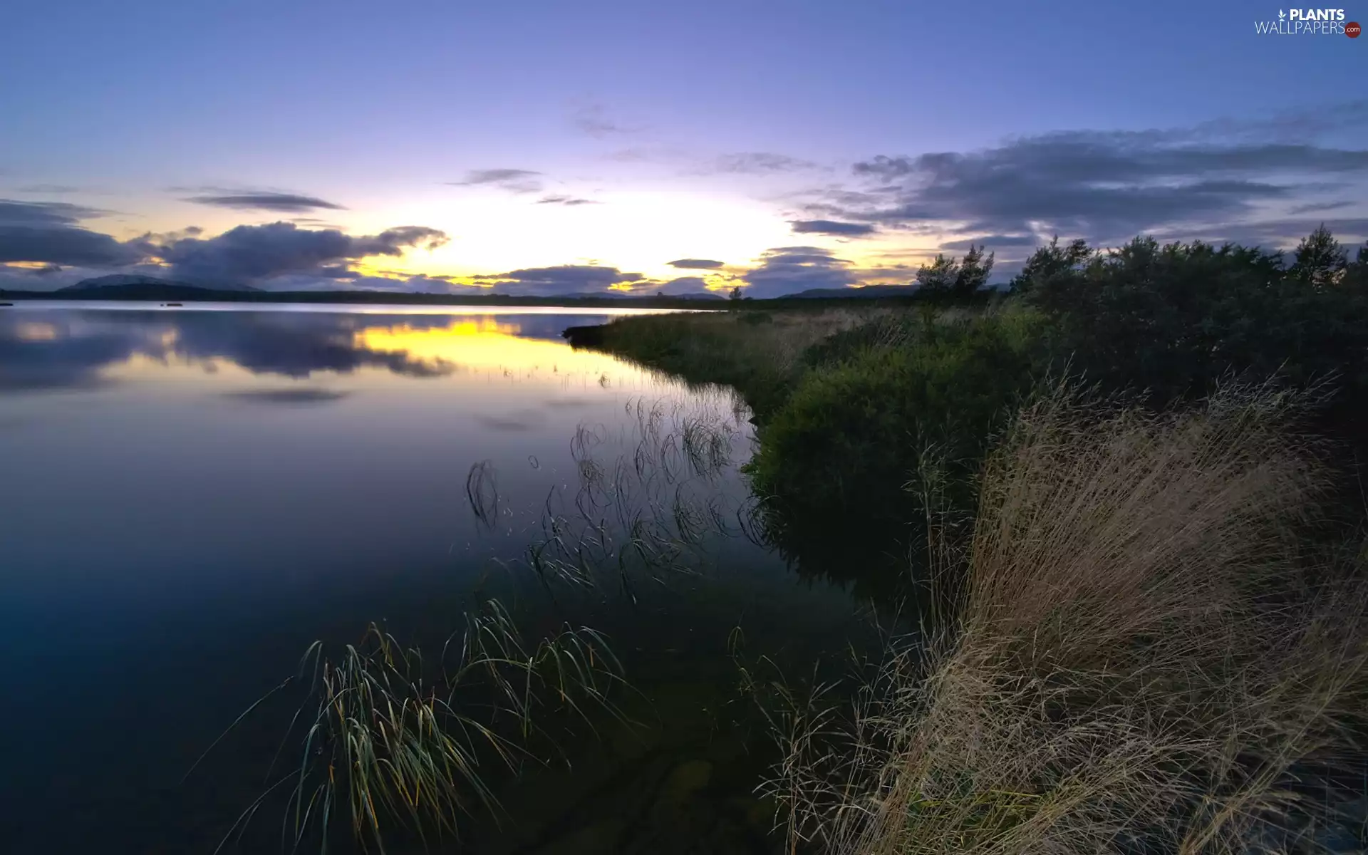 west, sun, grass, clouds, River