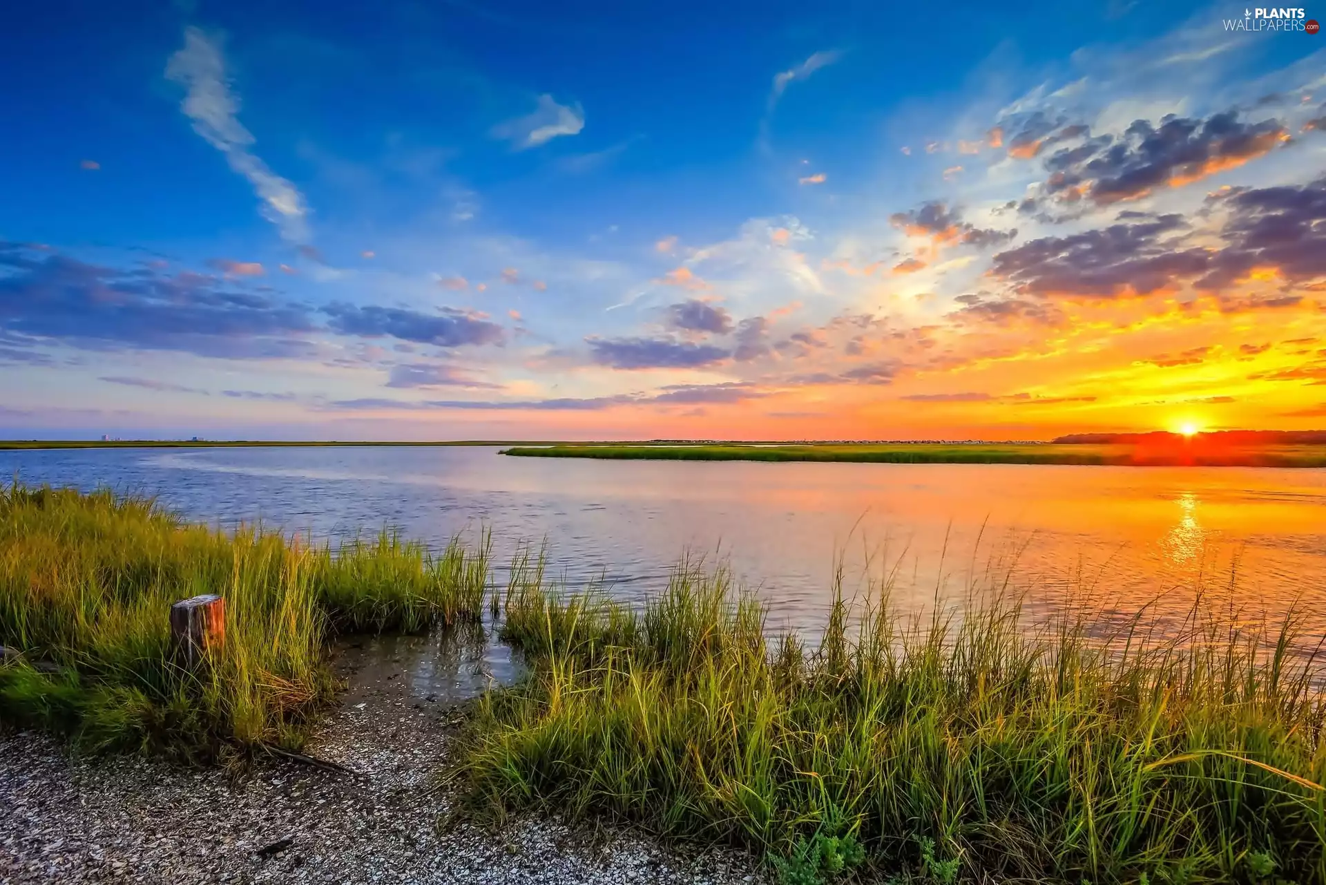 west, sun, grass, clouds, River