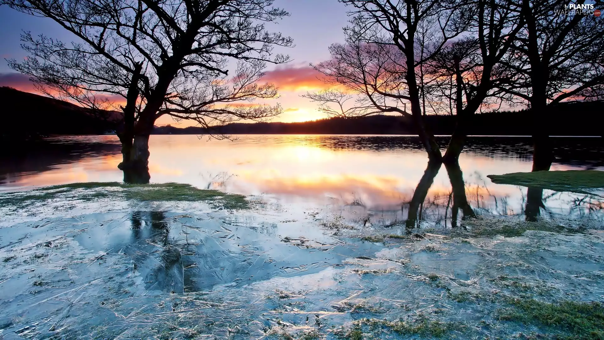 trees, River, west, sun, viewes, Icecream