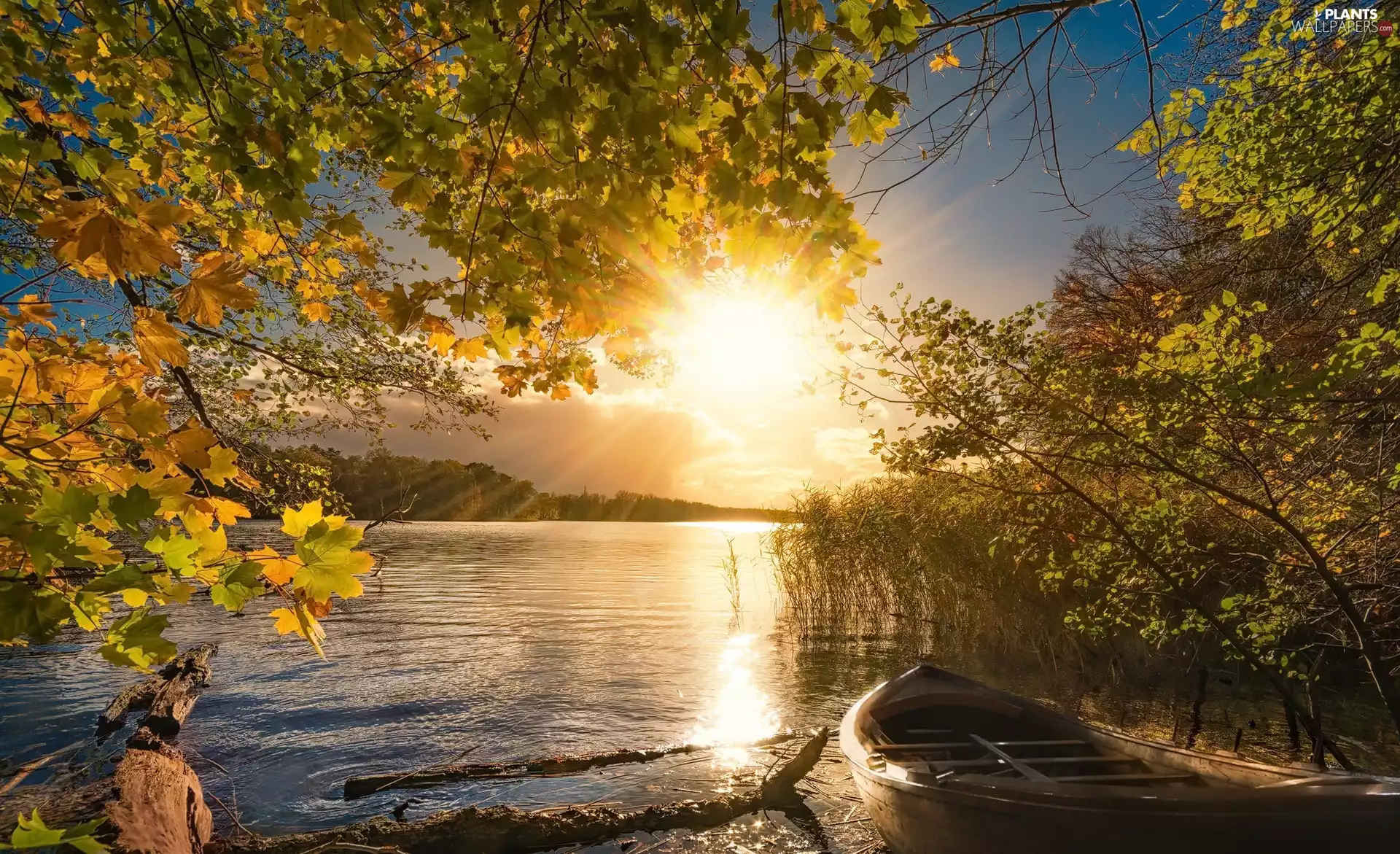 trees, viewes, lake, Boat, rays of the Sun