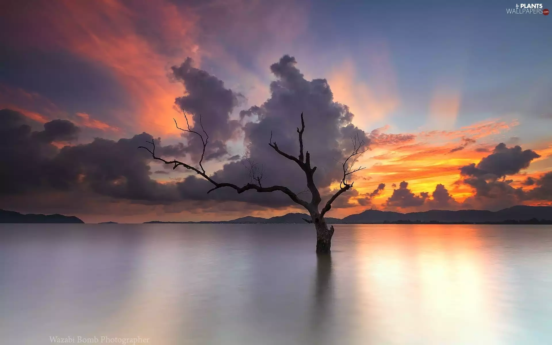 Mountains, trees, west, sun, clouds, lake