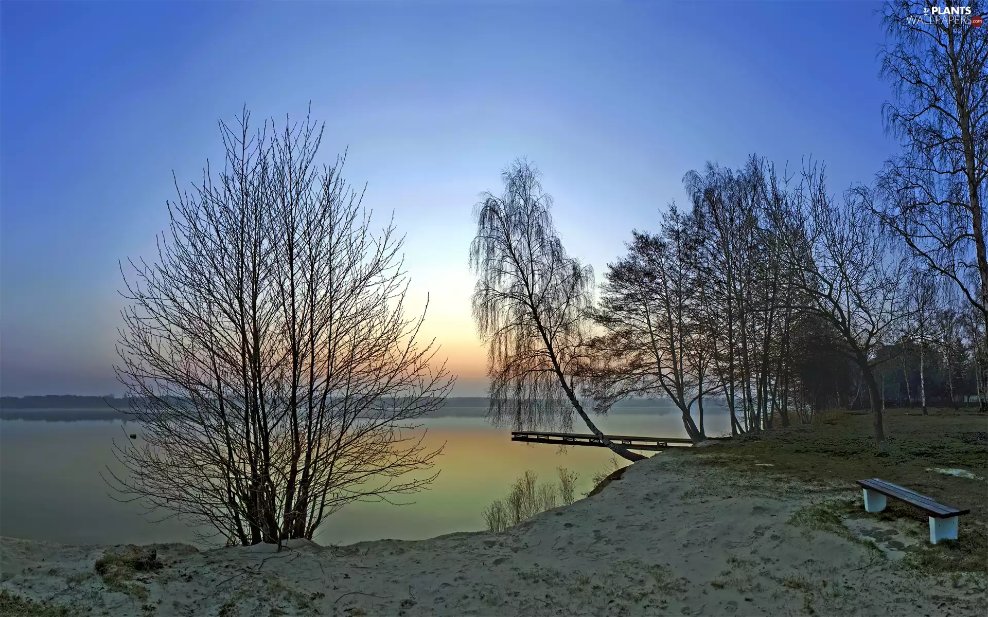 trees, east, Platform, sun, lake, viewes, Bench
