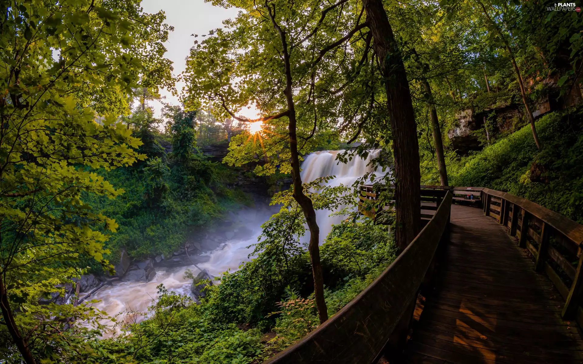 trees, waterfall, Platform, sun, viewes, River