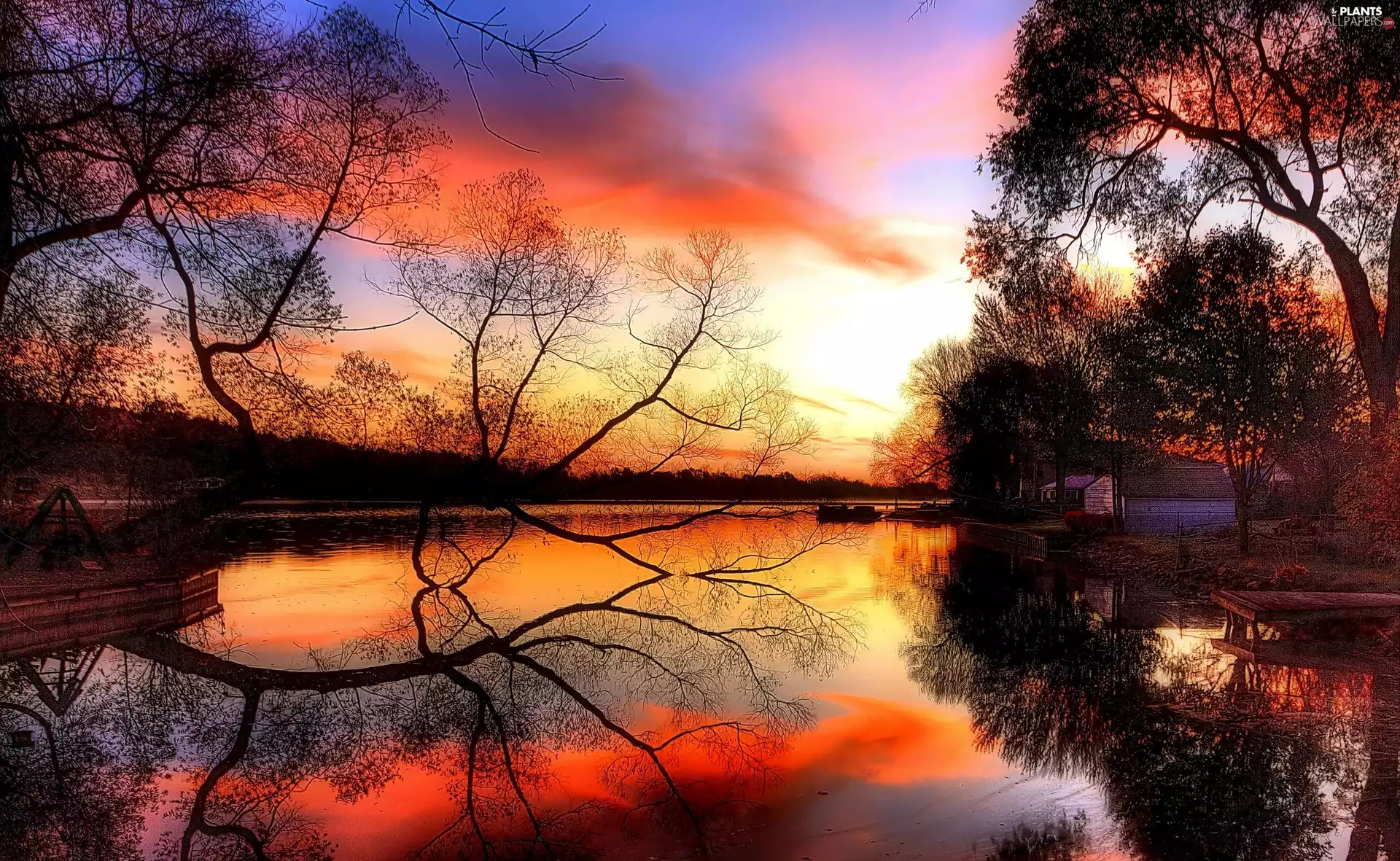 trees, house, west, sun, viewes, River