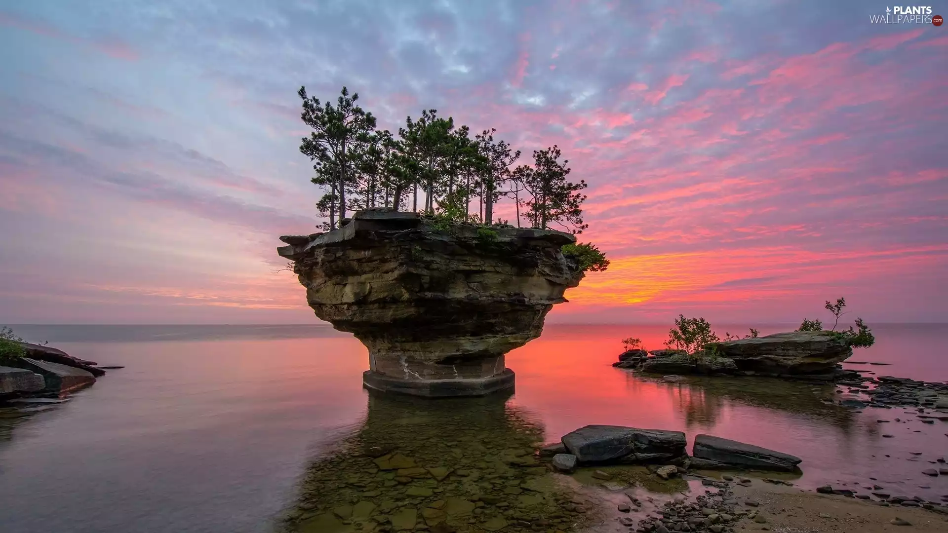 trees, sea, west, sun, viewes, rocks