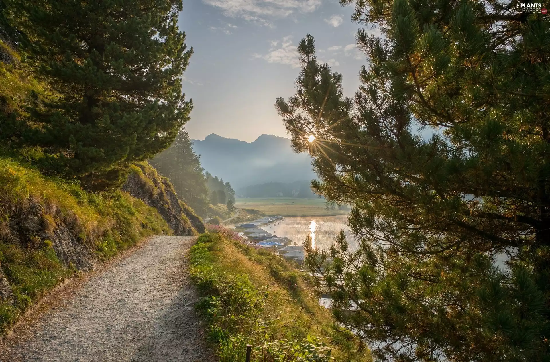 lake, Way, scarp, trees, bridges, Fog, rays of the Sun, Boats, viewes