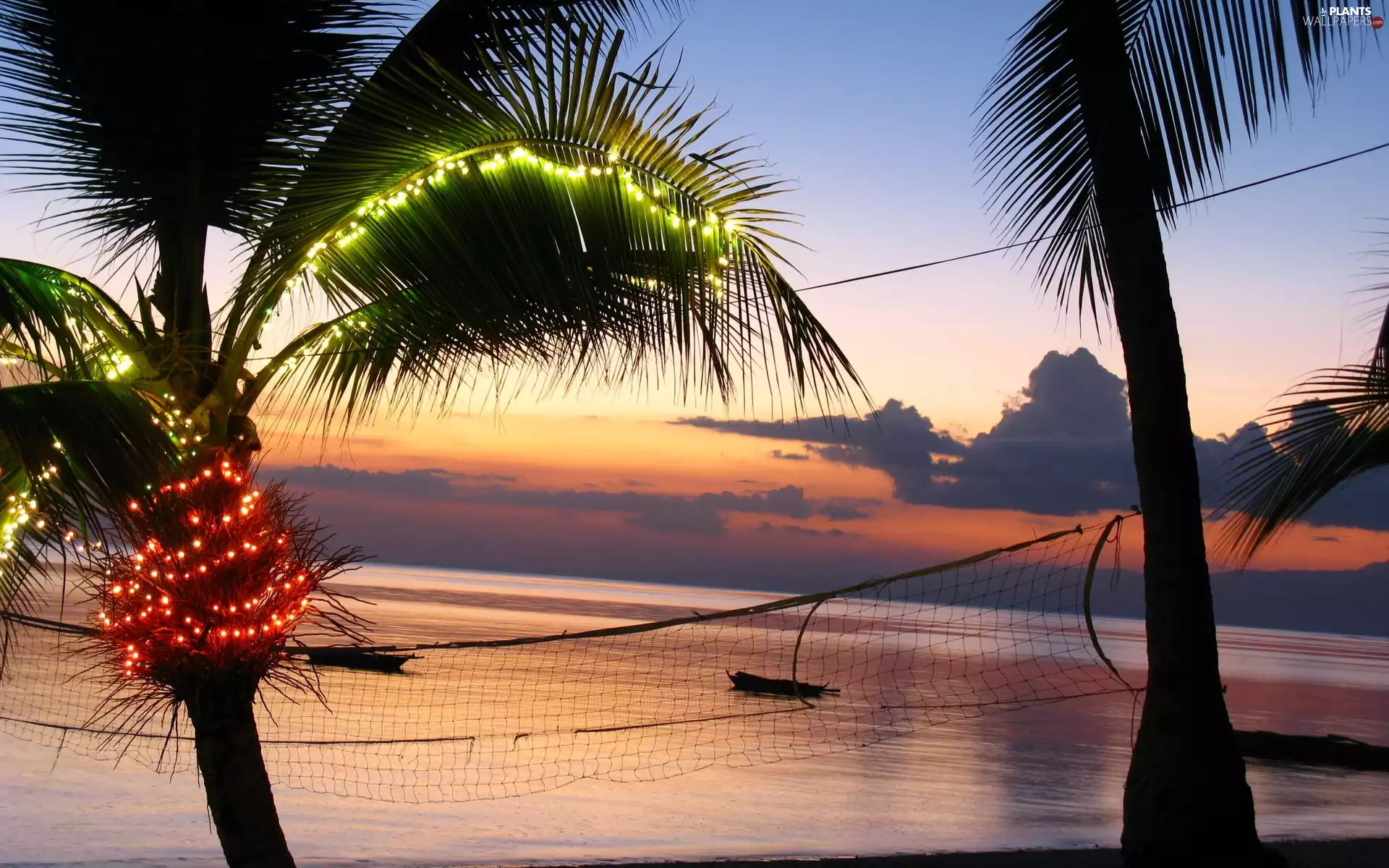 boats, Palms, west, sun, clouds, sea