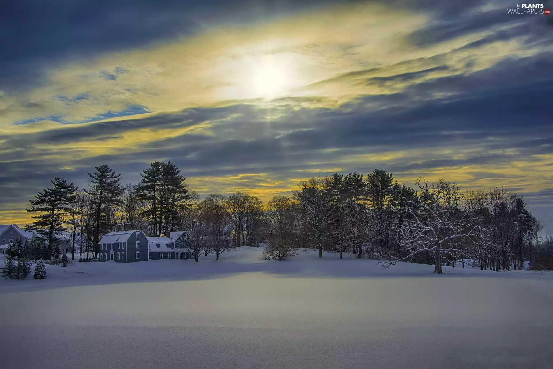 trees, viewes, Sky, snow, color, Houses, winter, sun