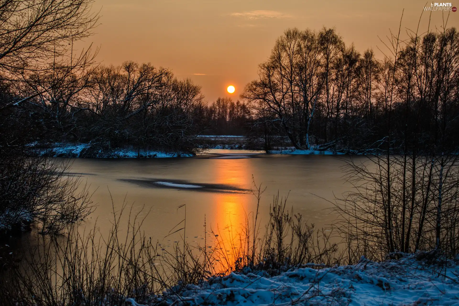 viewes, lake, sun, snow, west, trees