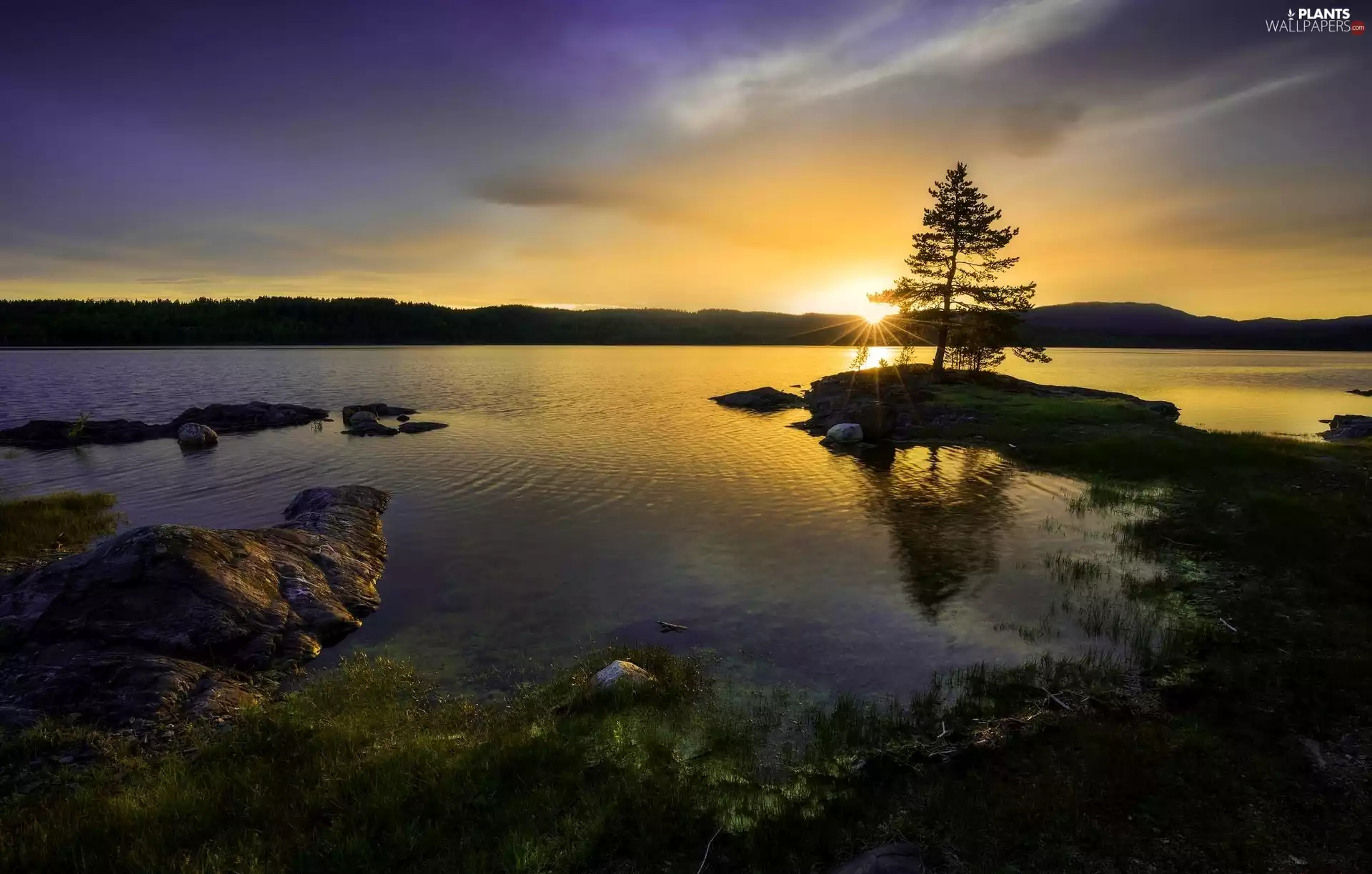 west, sun, Stones, trees, lake