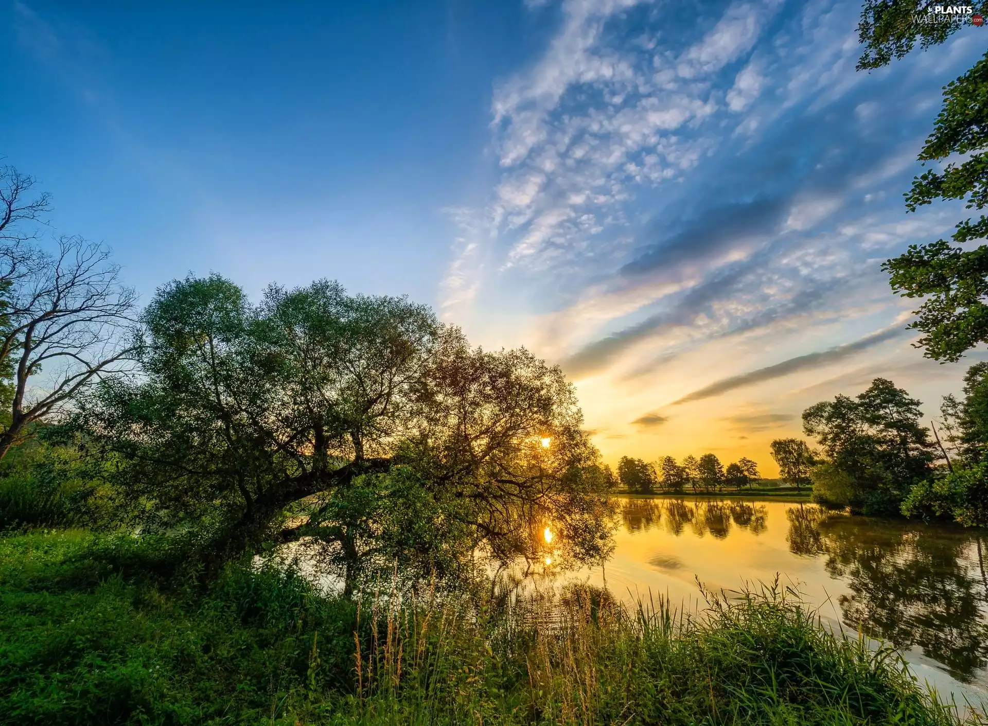 viewes, lake, east, sun, grass, trees