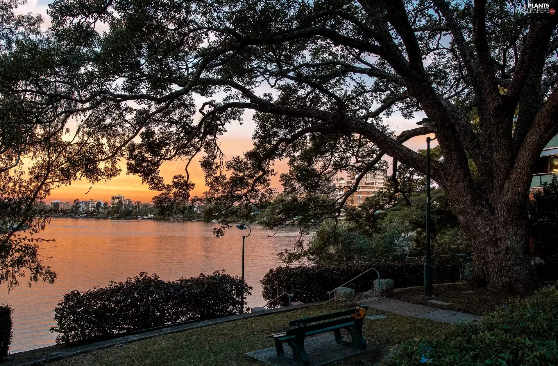 viewes, River, east, sun, Houses, trees