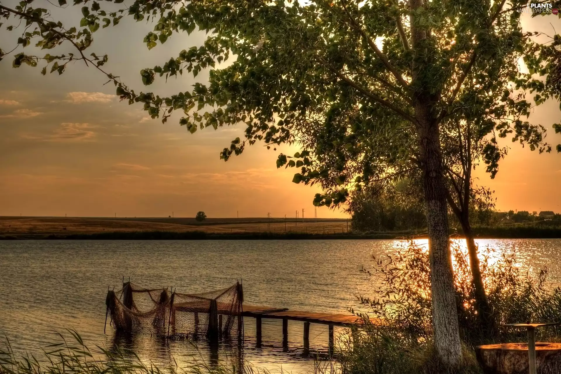 east, sun, trees, Platform, lake