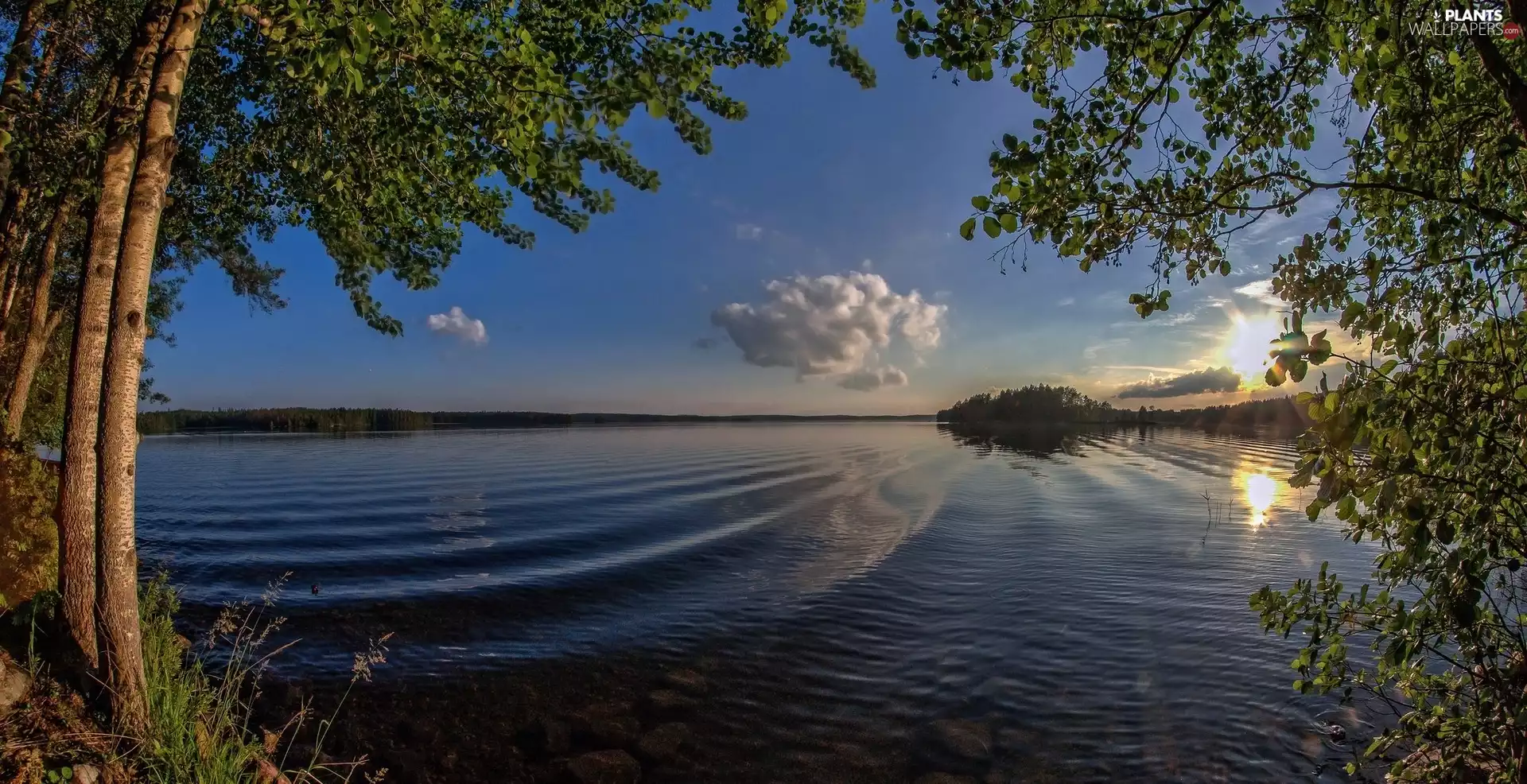 east, sun, trees, viewes, lake