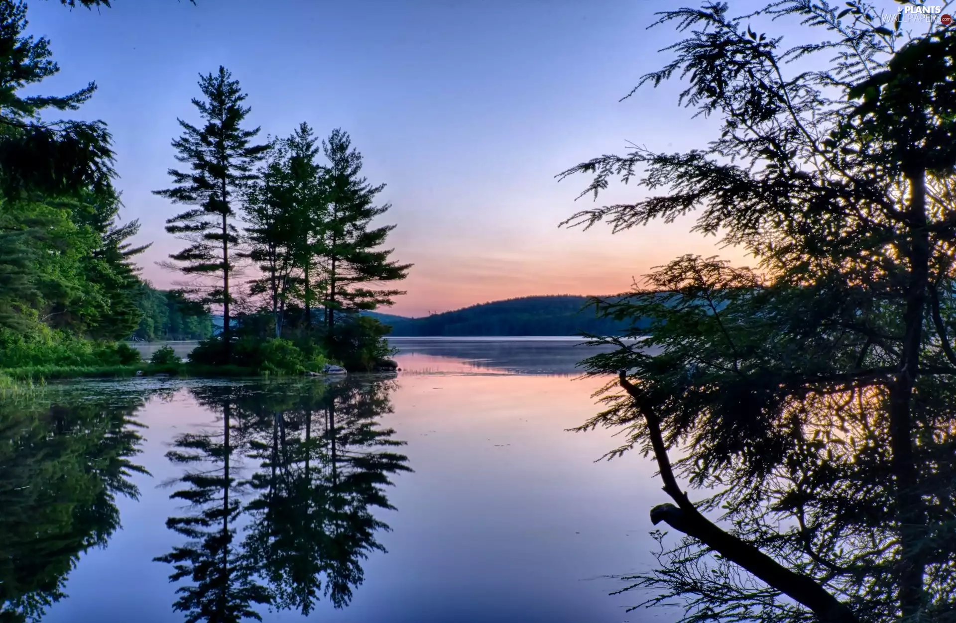 east, sun, trees, viewes, lake