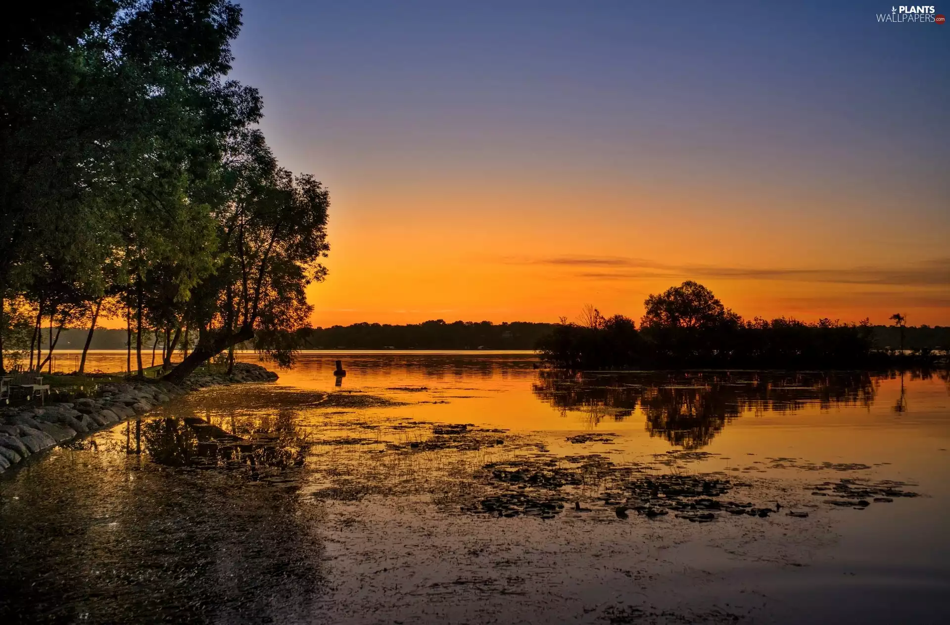 west, sun, trees, viewes, lake