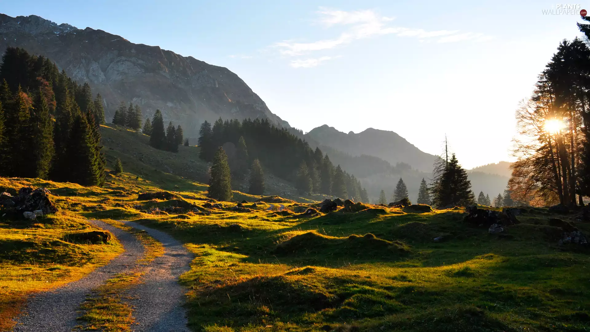 Way, sun, trees, viewes, Mountains
