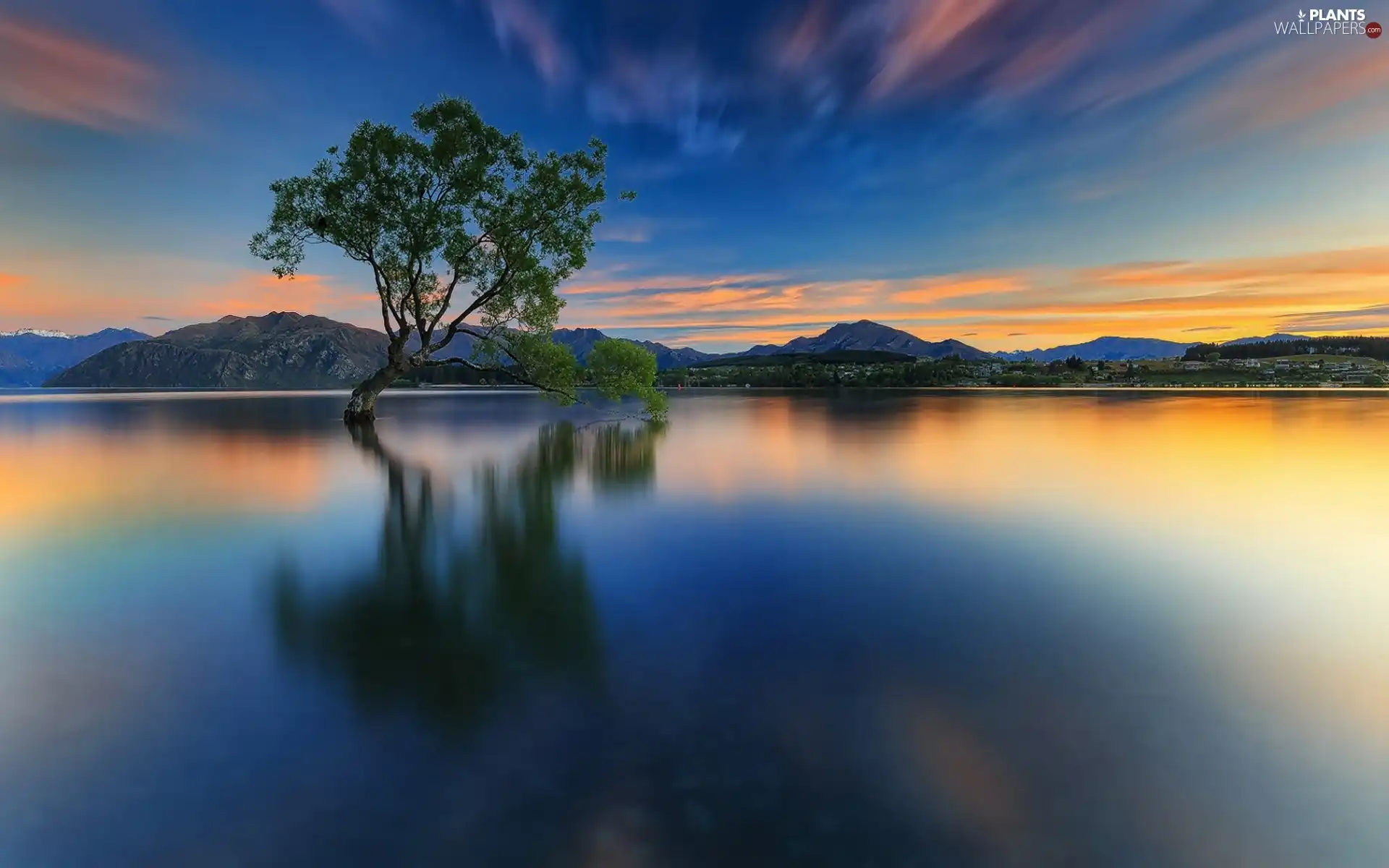 trees, Mountains, Wanaka Lake, Great Sunsets, New Zeland