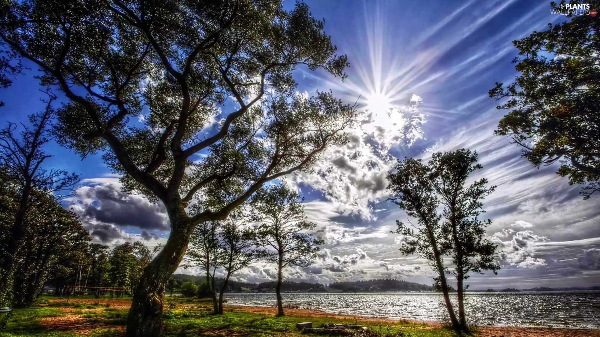 viewes, lake, rays, sun, clouds, trees