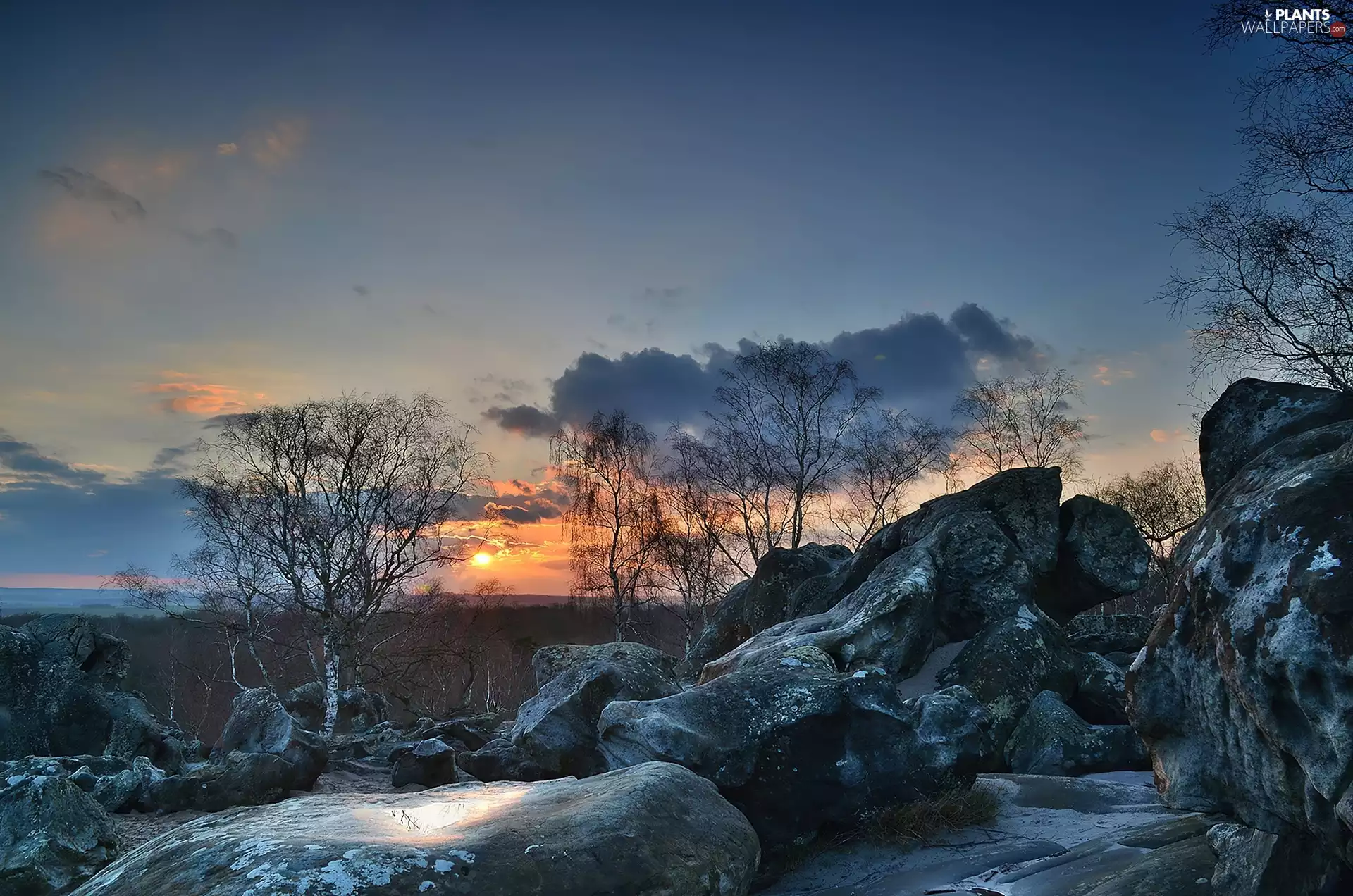 west, sun, trees, viewes, Stones