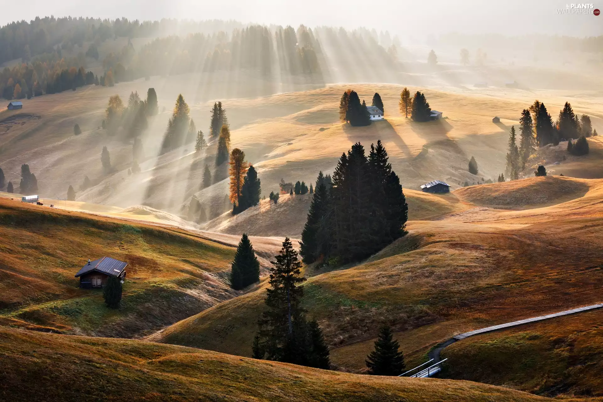 Valley, dawn, viewes, rays of the Sun, trees, Dolomites, Italy, Houses