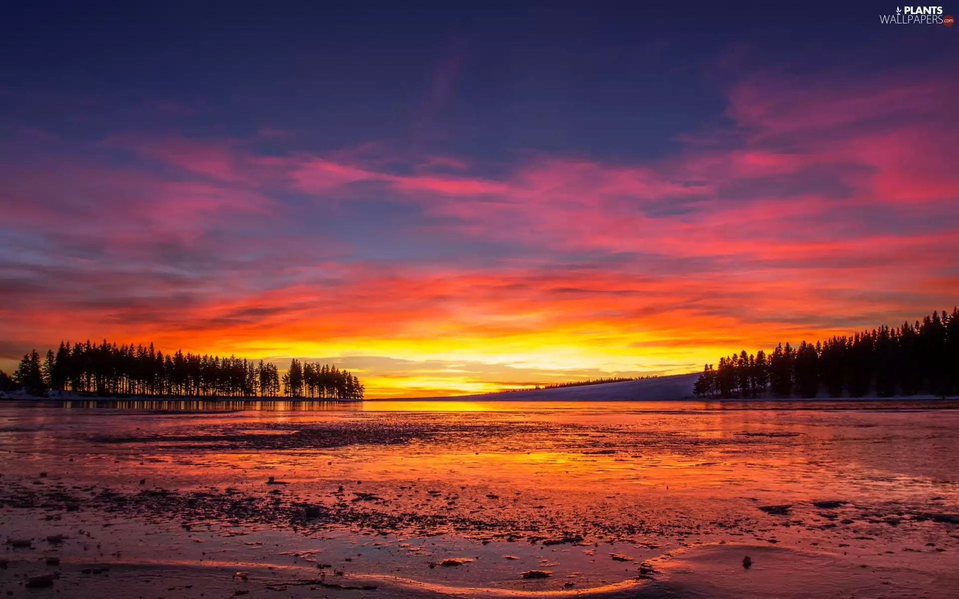 viewes, River, west, sun, clouds, trees