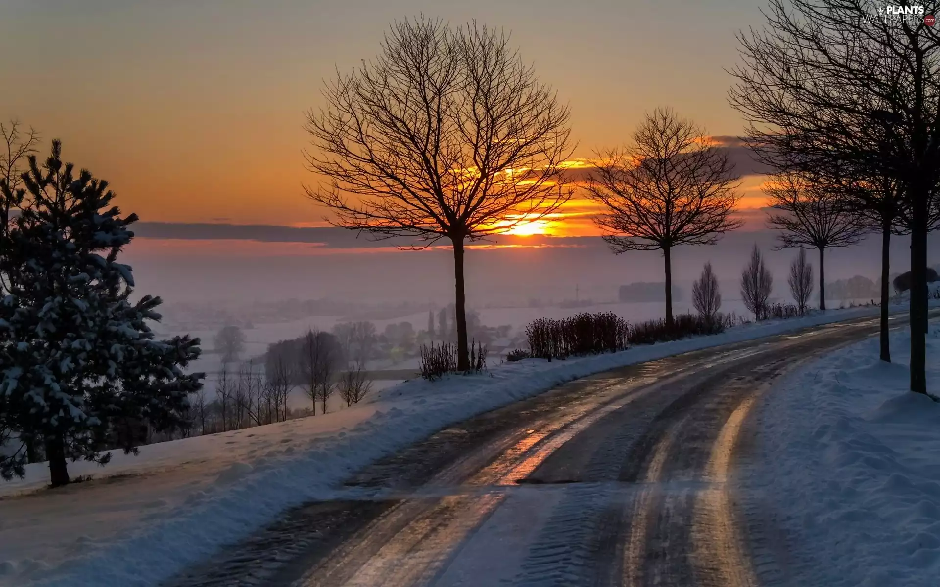 viewes, winter, west, sun, Way, trees
