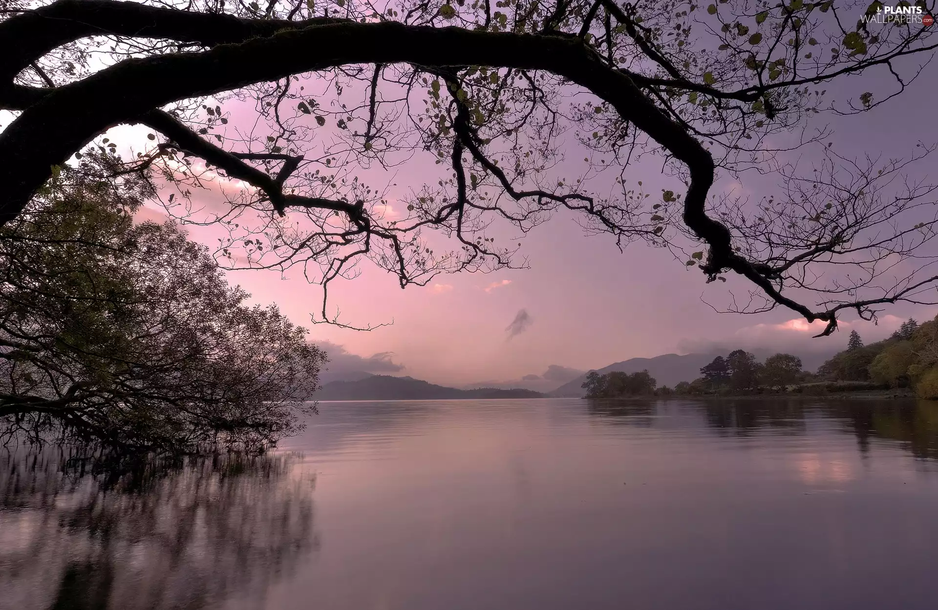 lake, trees, east, sun, Mountains, viewes