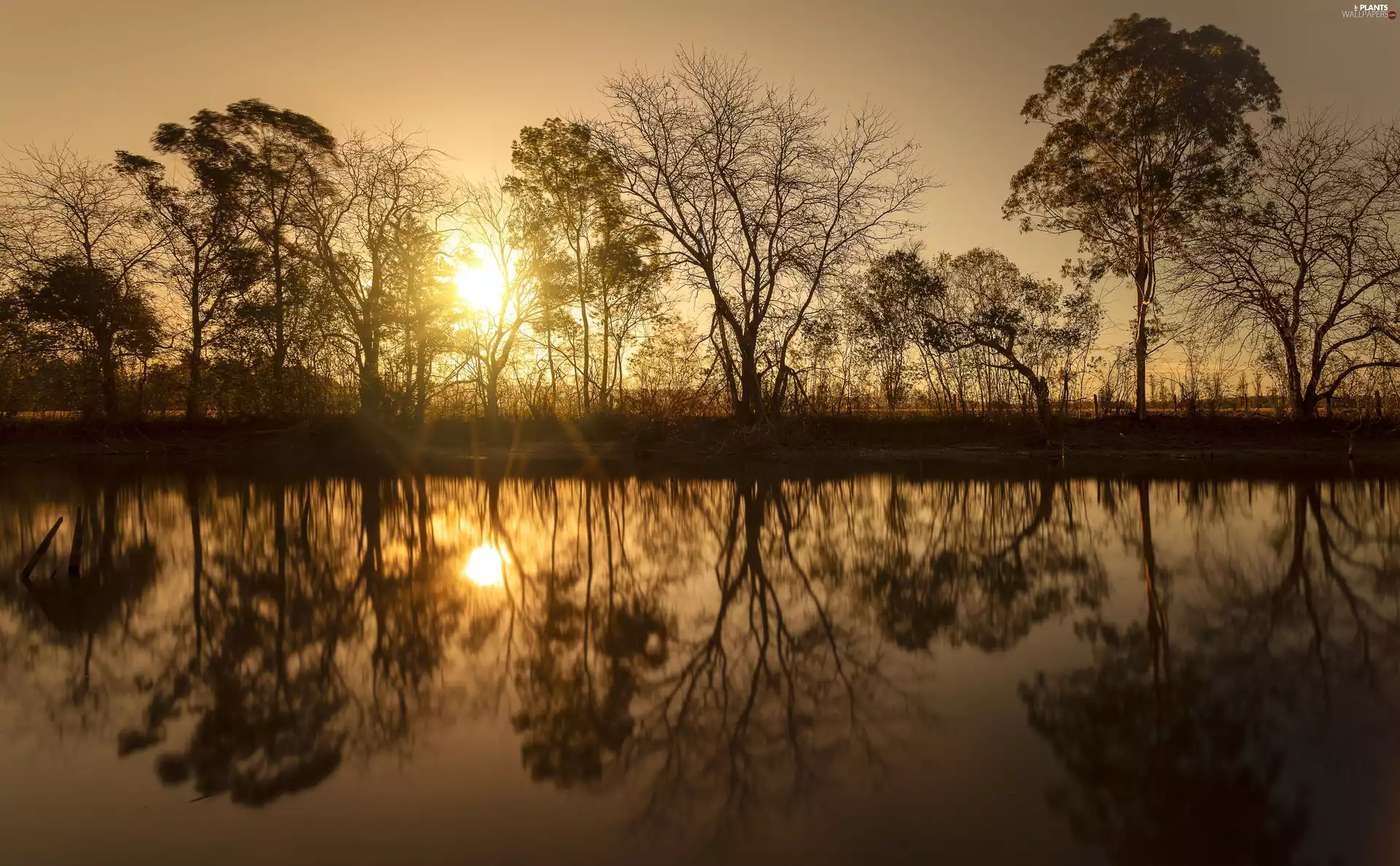 lake, sun, viewes, reflection, trees