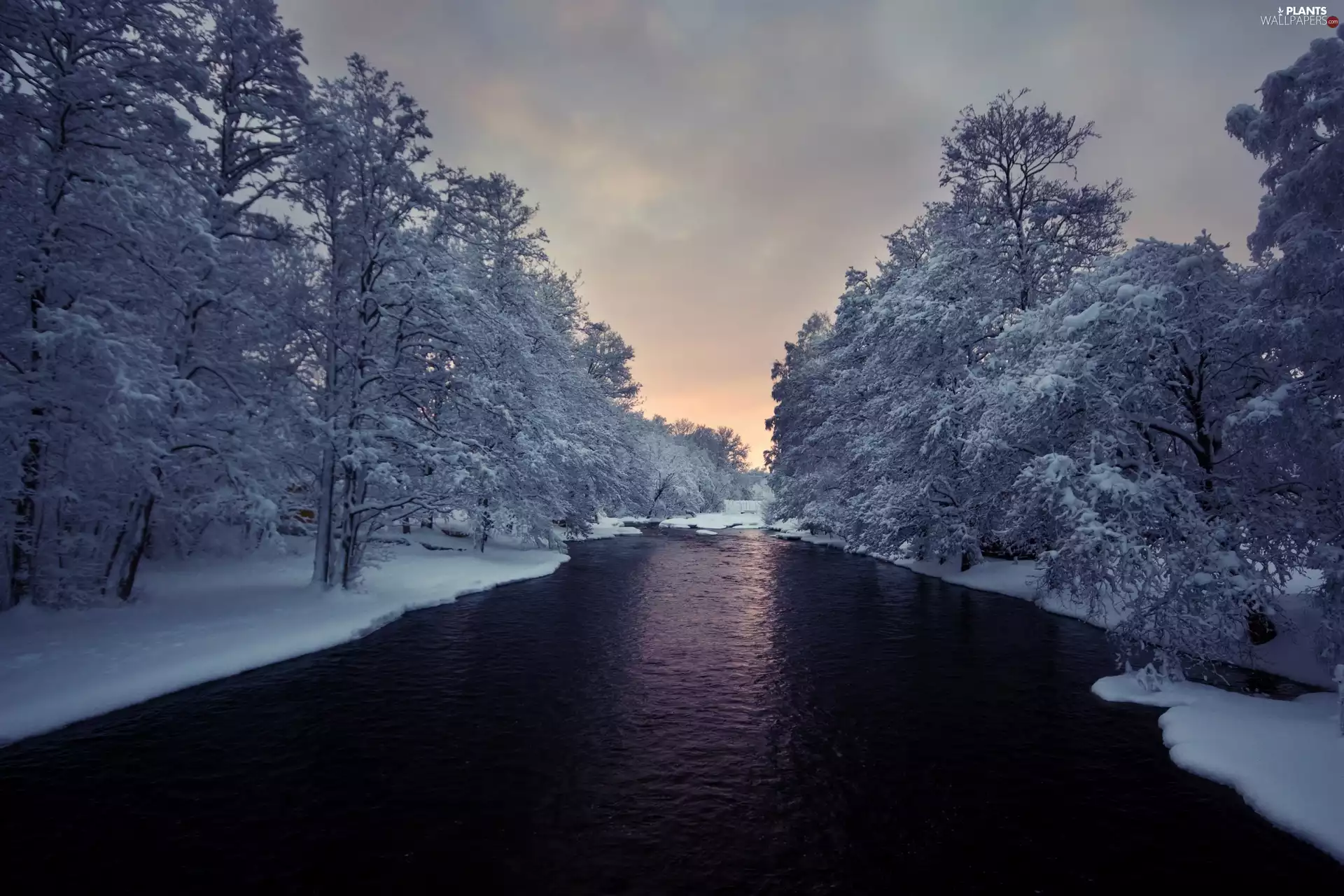 west, sun, viewes, River, trees