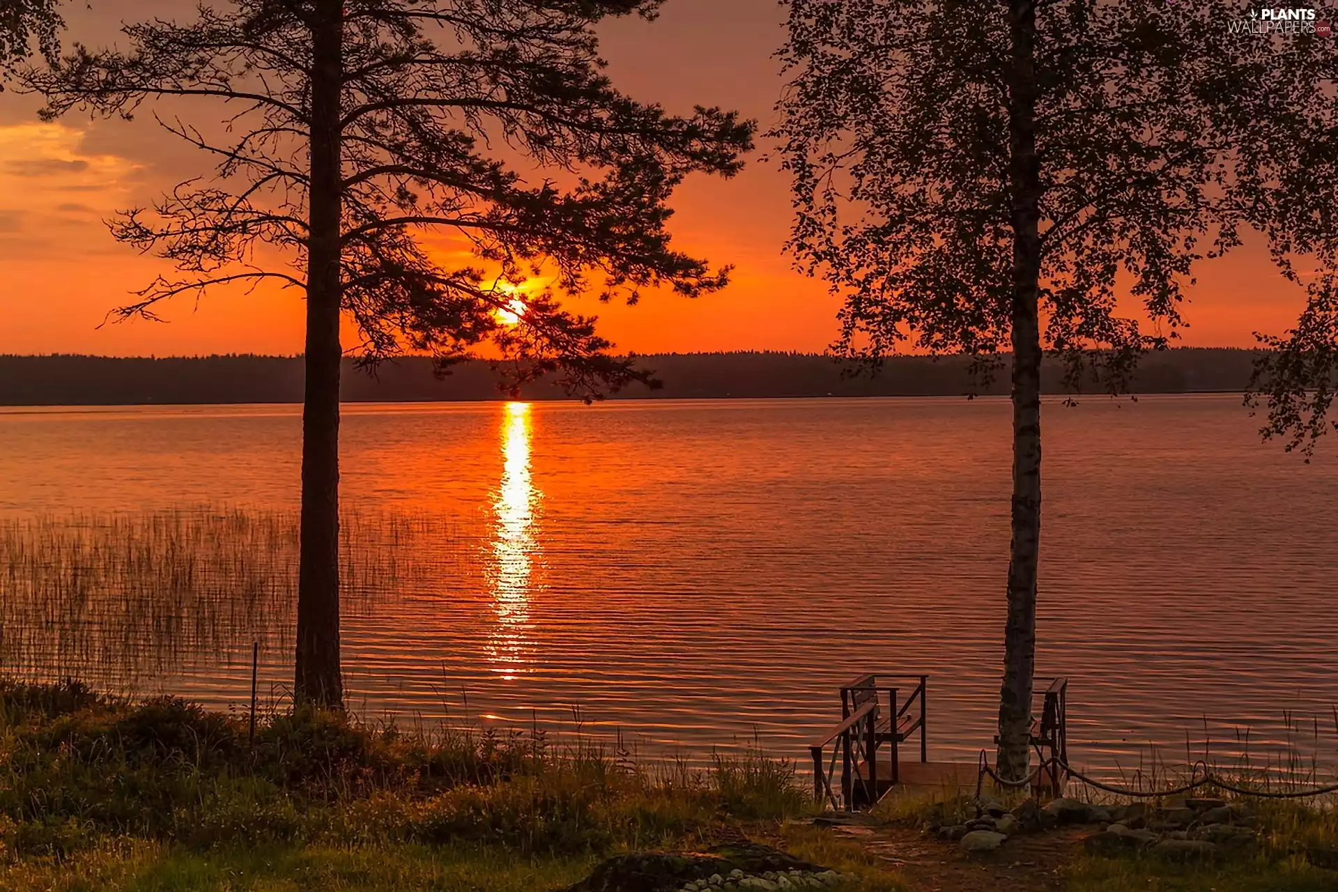 bridges, trees, west, sun, lake, viewes