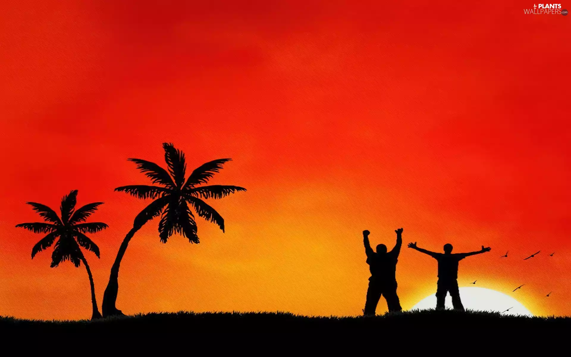 west, People, Palms, sun