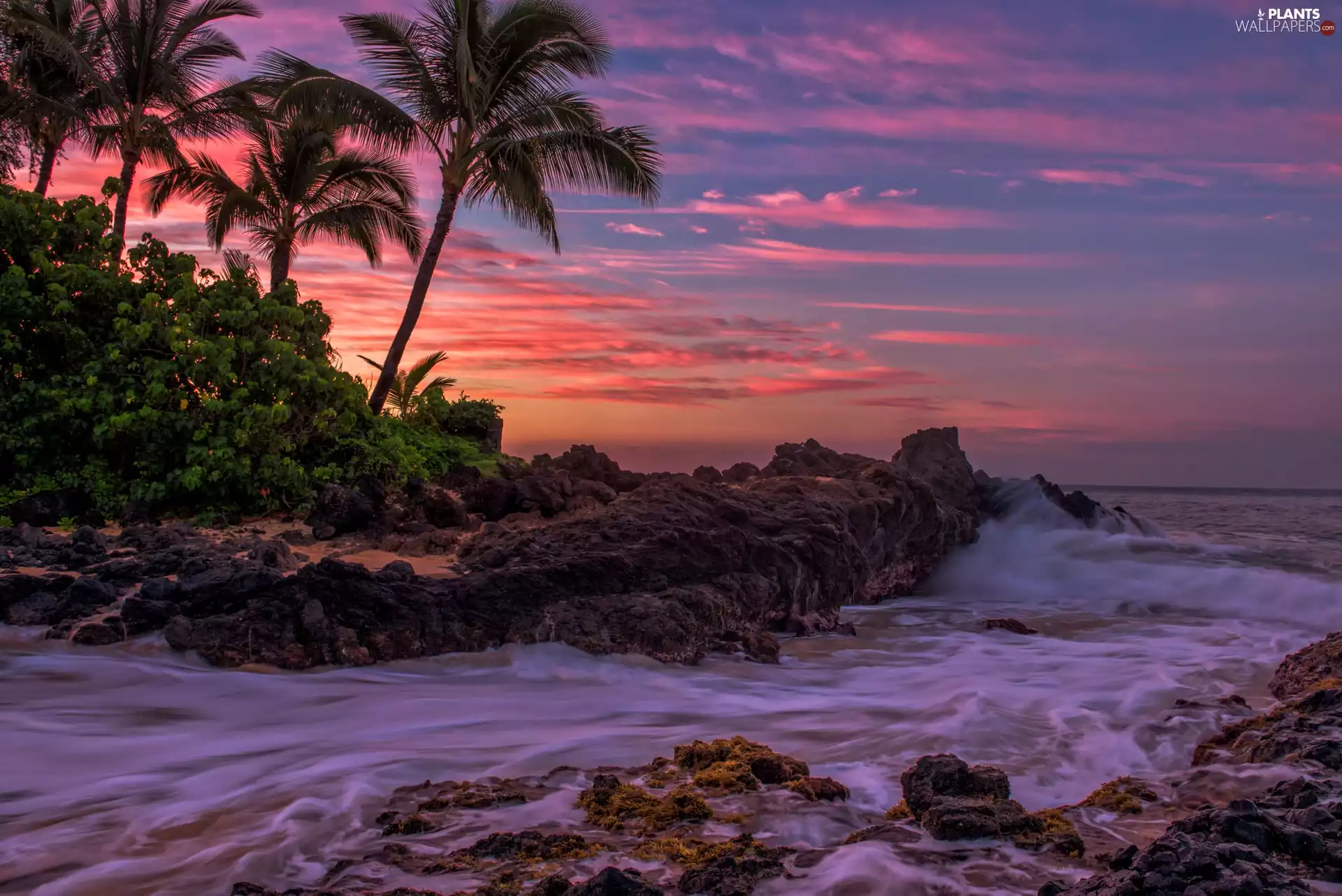 Stones rocks, Palms, sun, sea, west
