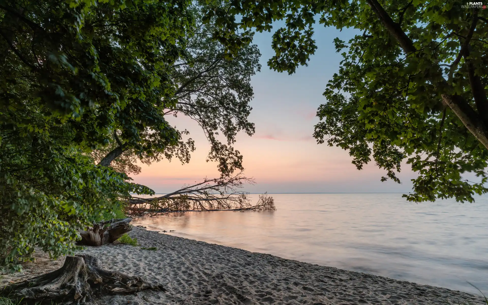 Sand, sea, viewes, Sunrise, trees, Beaches