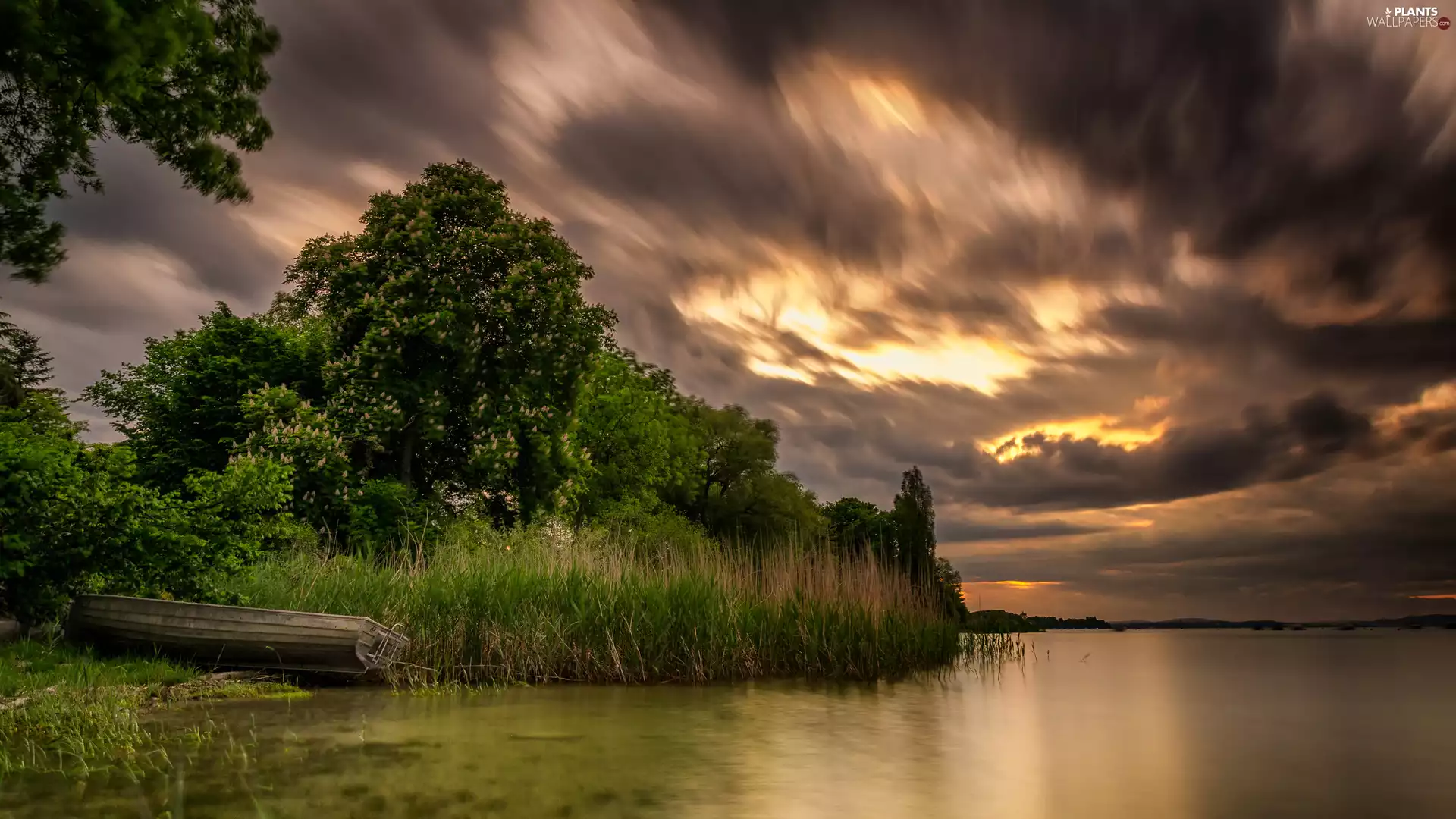 clouds, River, viewes, Sunrise, trees, Boat