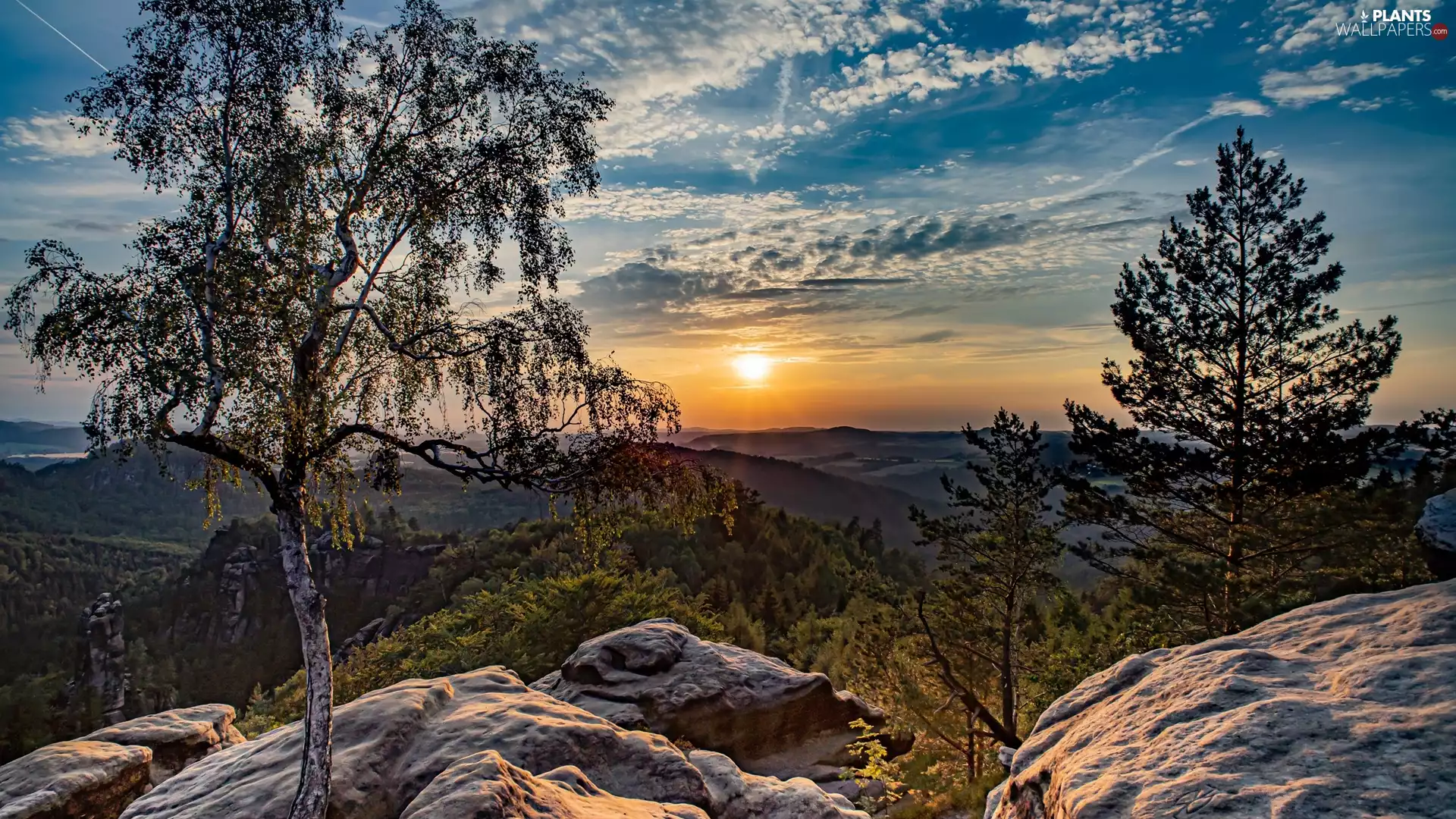 viewes, rocks, clouds, trees, Mountains, birch-tree, Sunrise