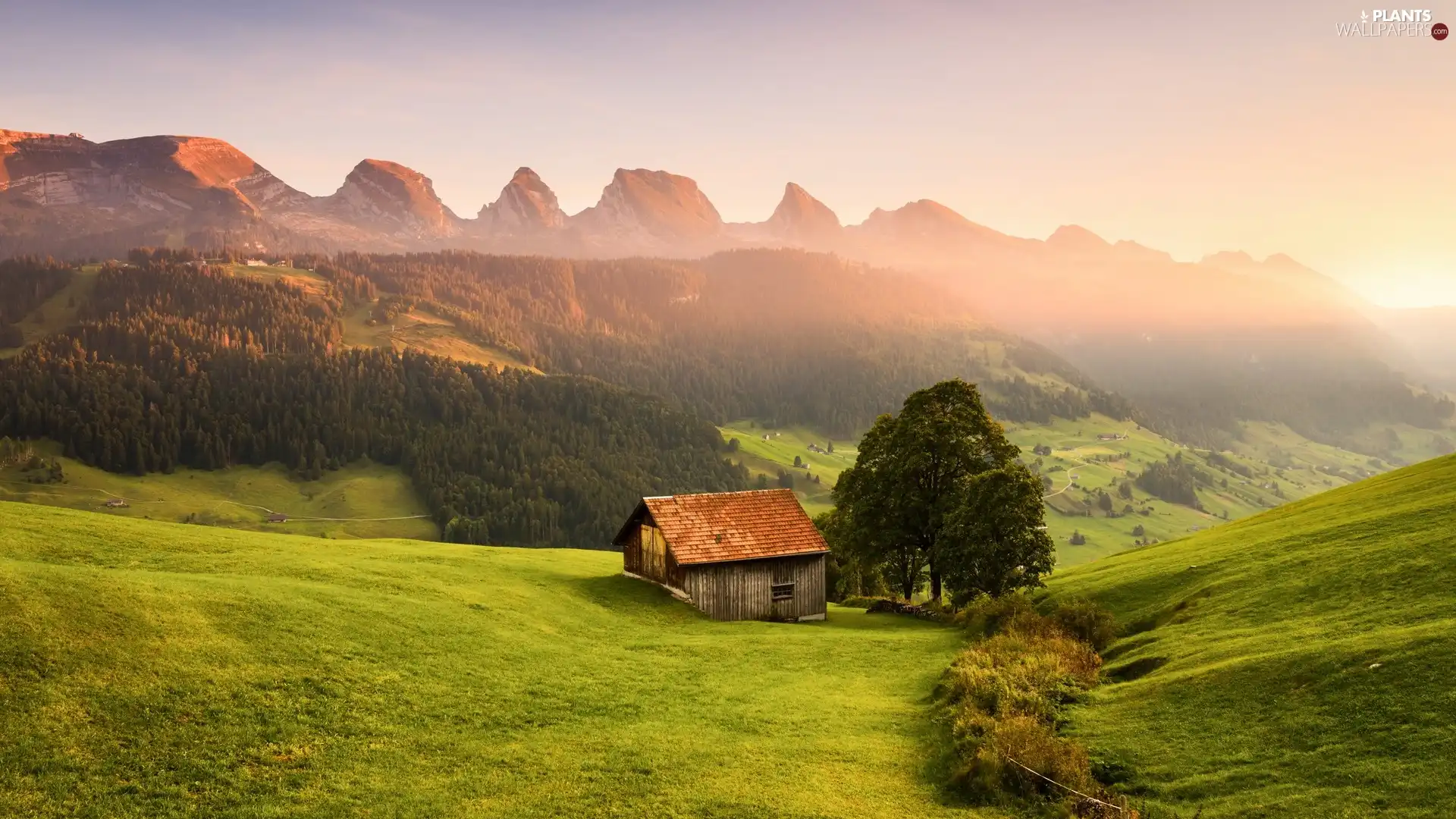 trees, Mountains, Houses, Sunrise, viewes, forest
